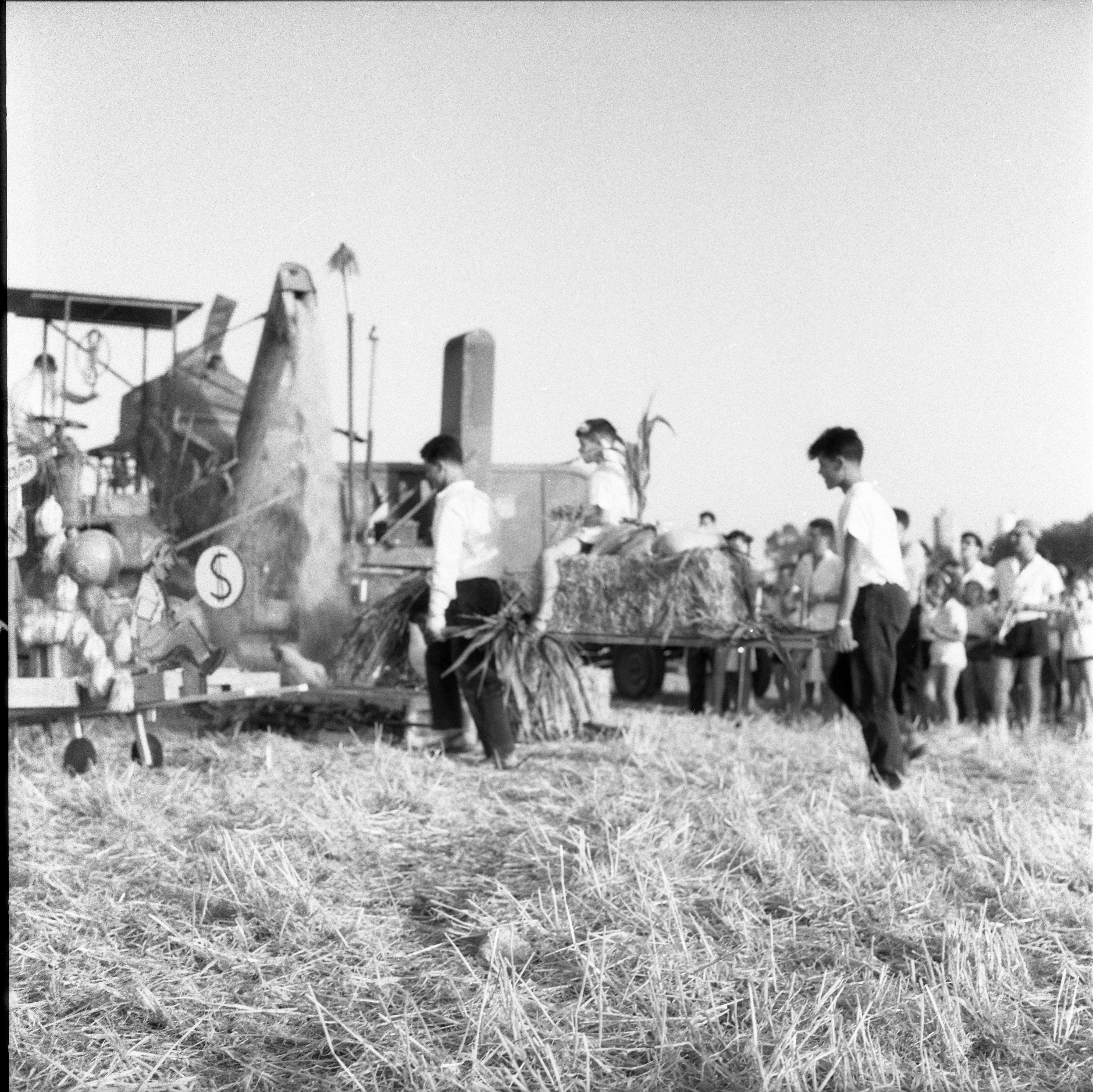  חג הביכורים; 1962