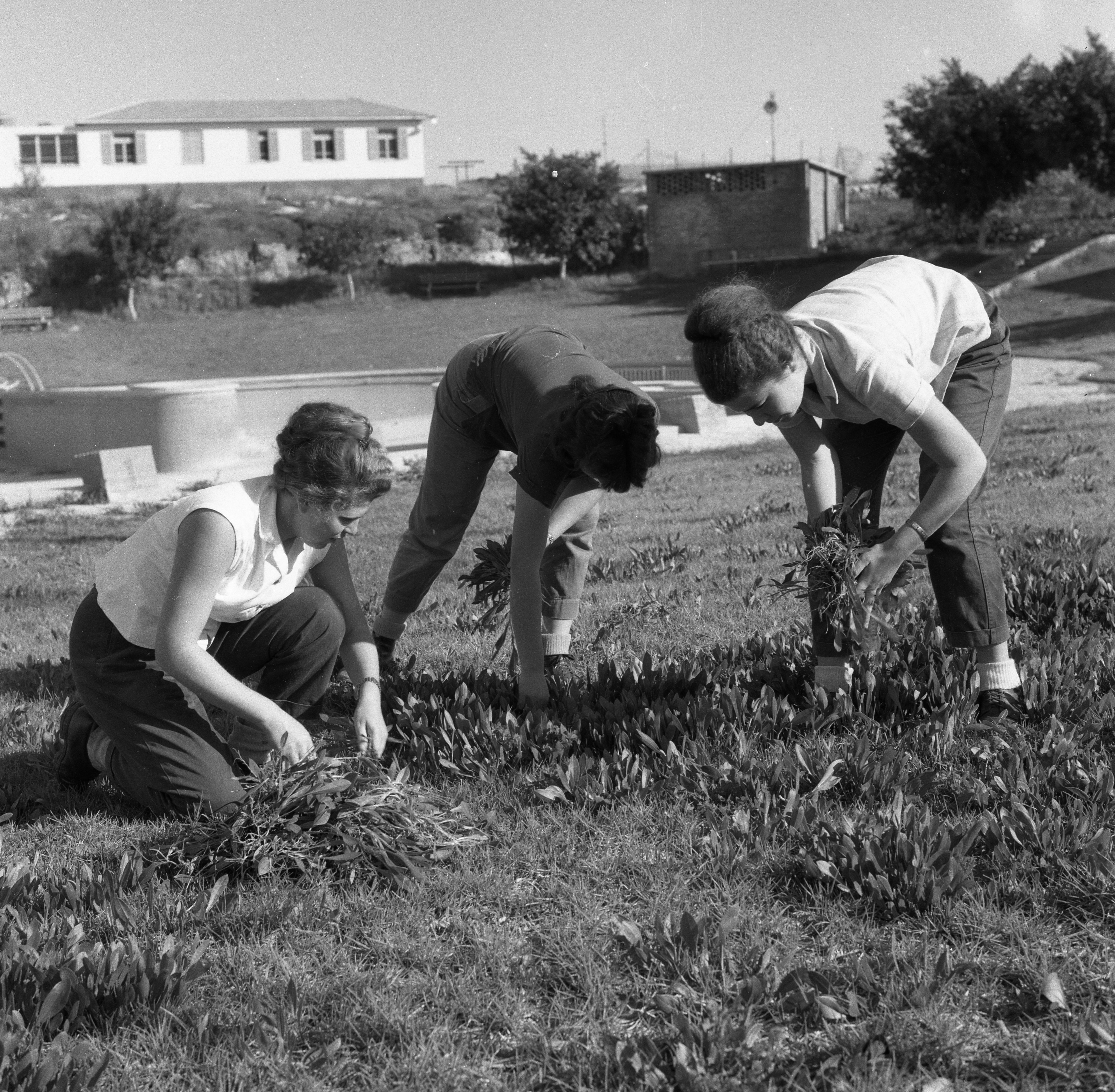  מימין מירה סידי, משמאל רחל אלעזרי עבודת נוי; 1961