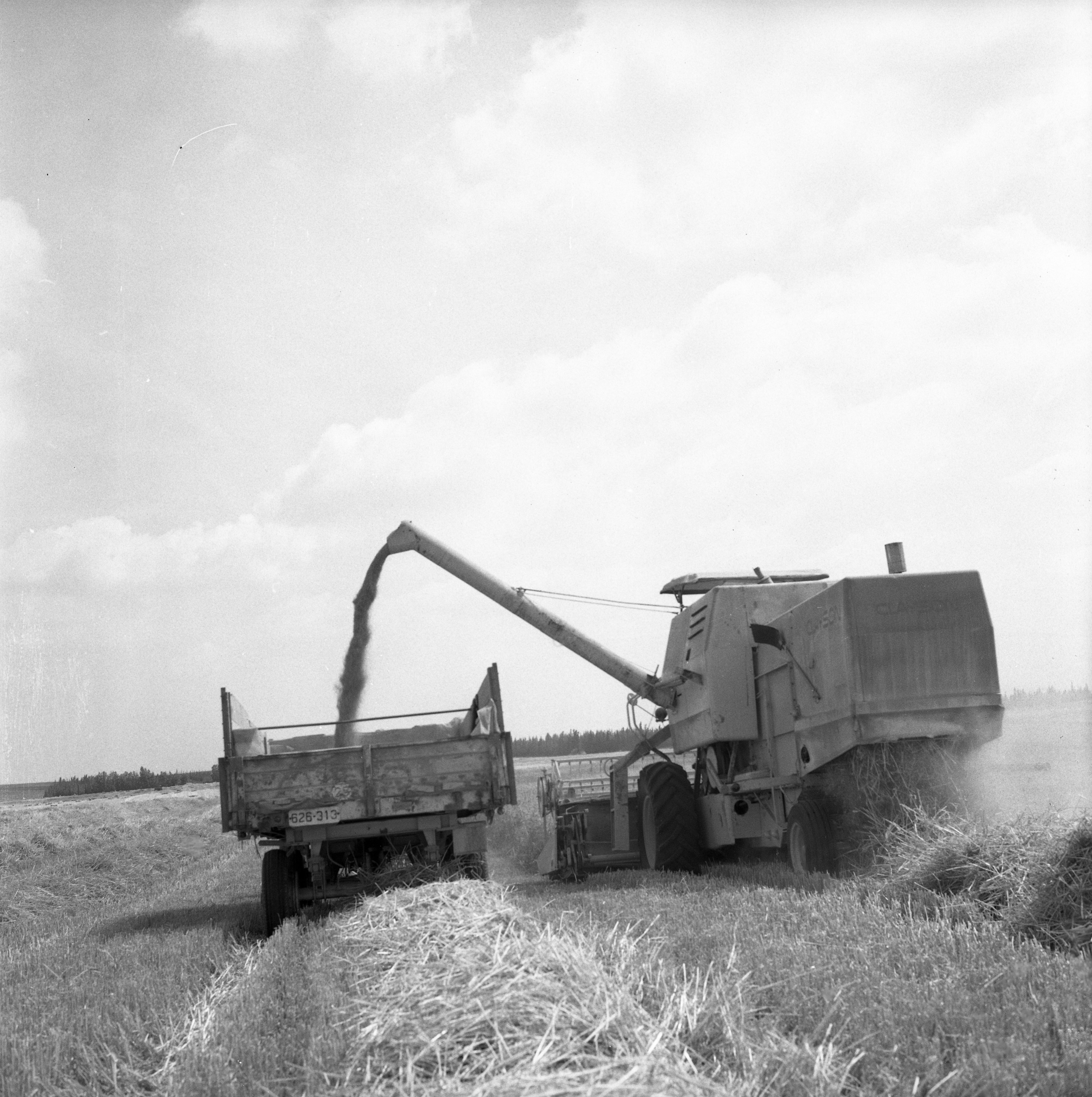  פלחה; 1972