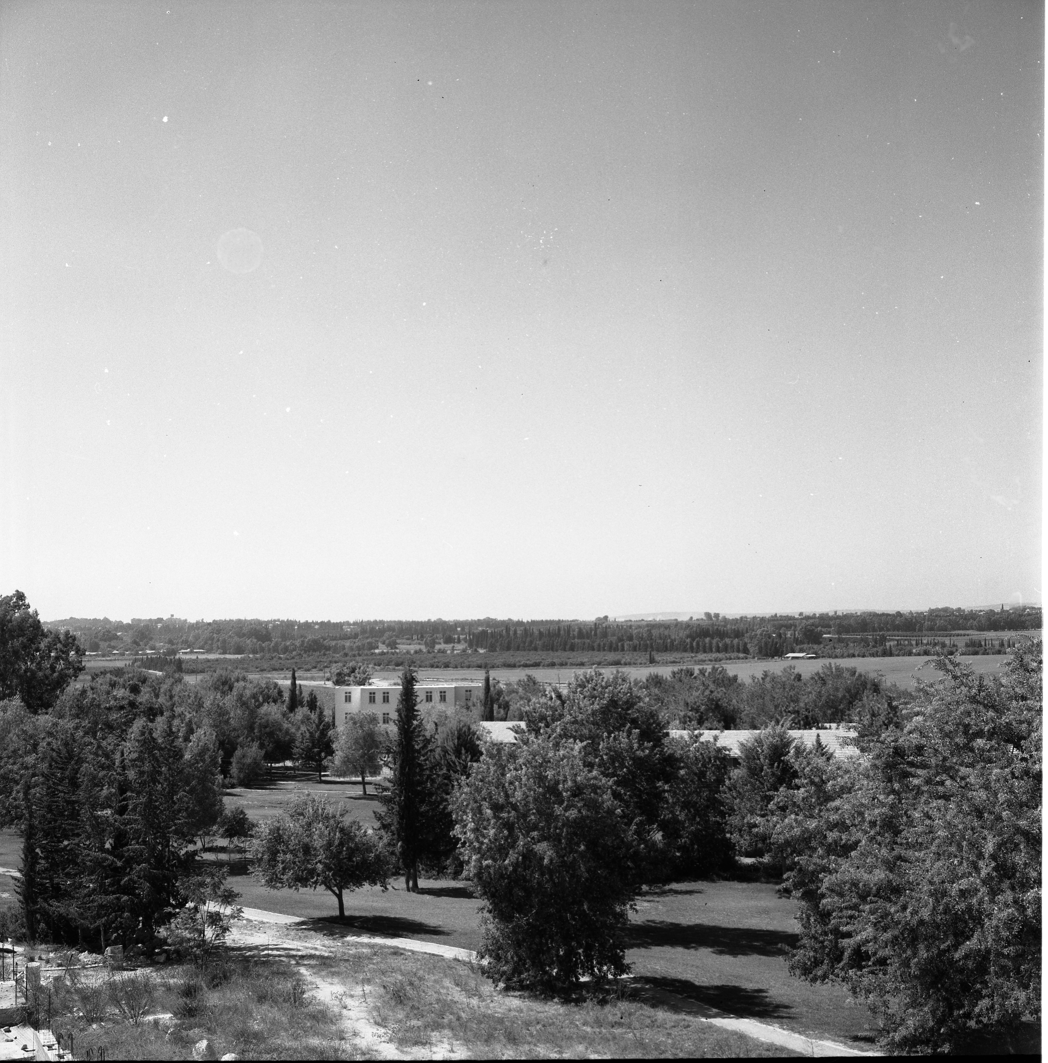  גבעת חביבה; 1968