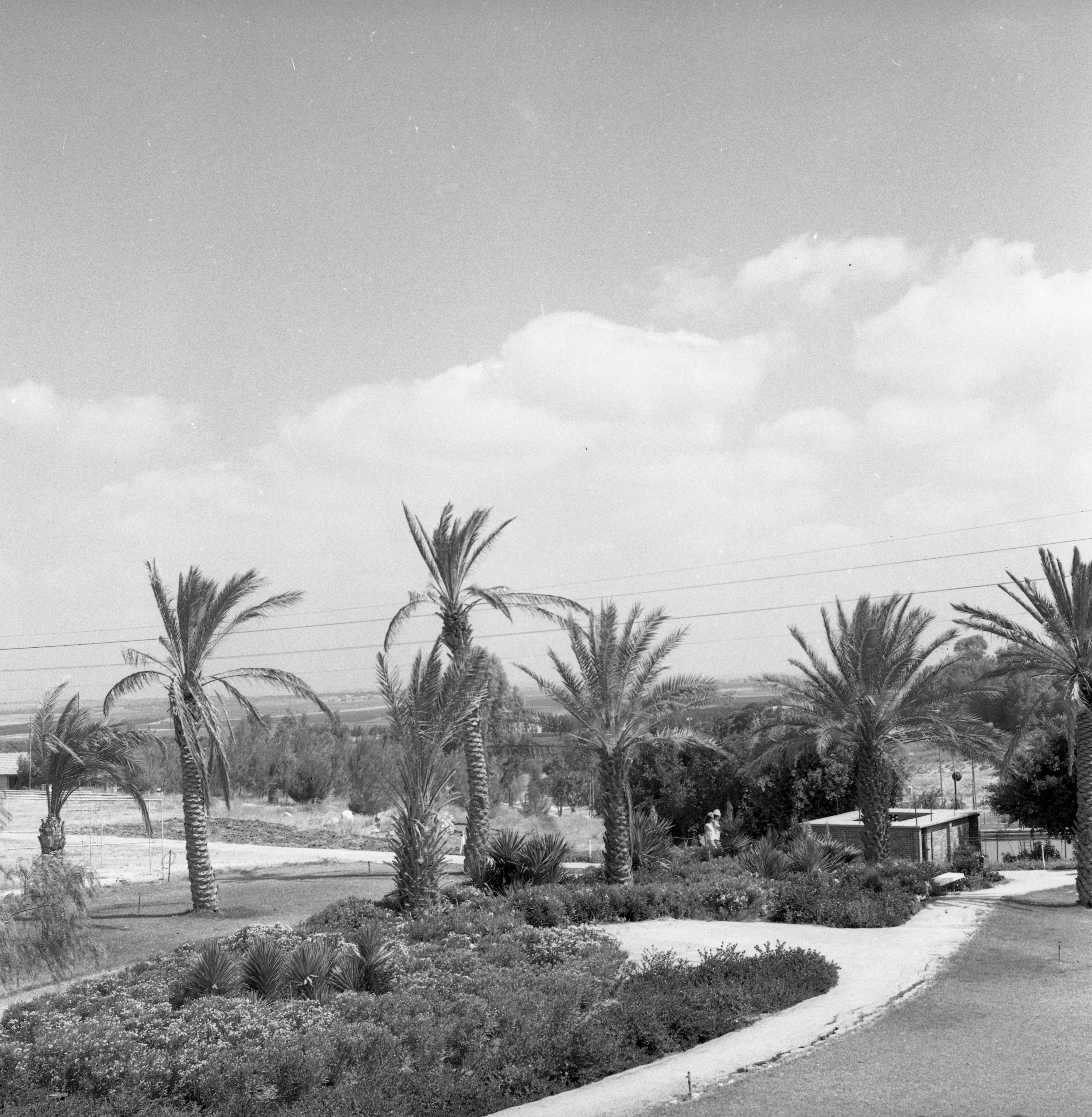  גן השבעה ; 1966 במוסד; 1966