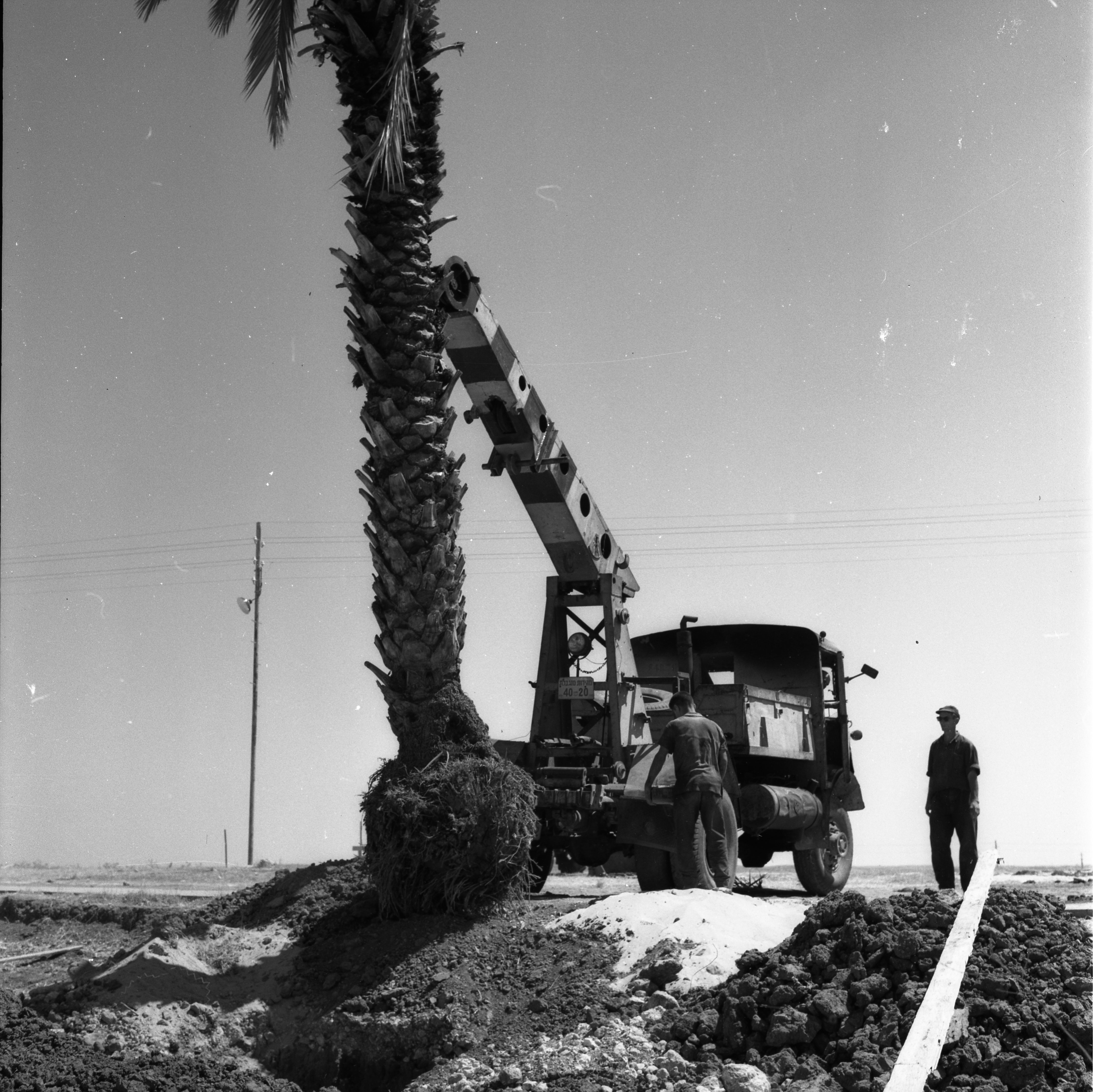  הקמת גן הזכרון לשבעה