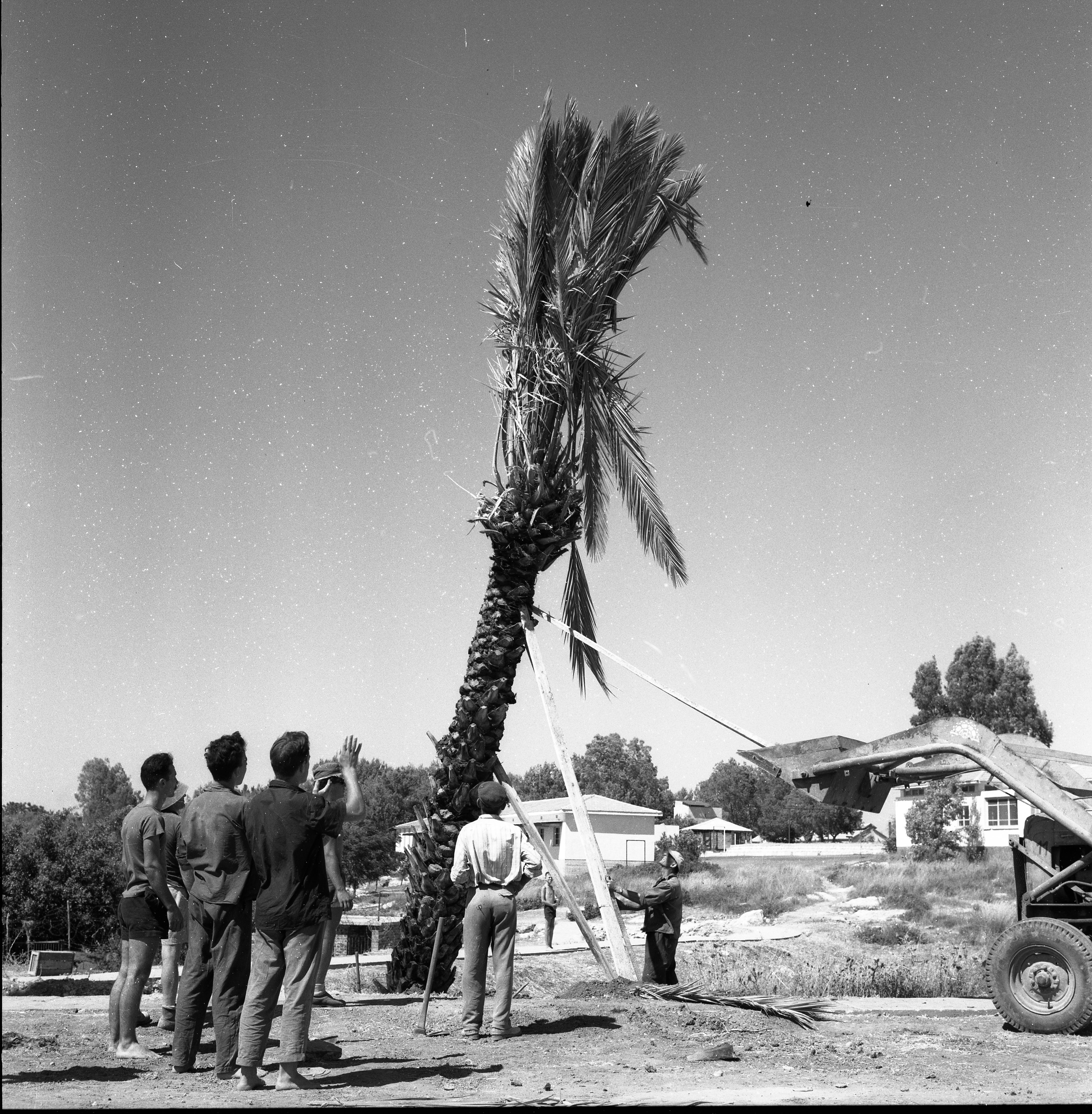  הקמת גן הזכרון לשבעה