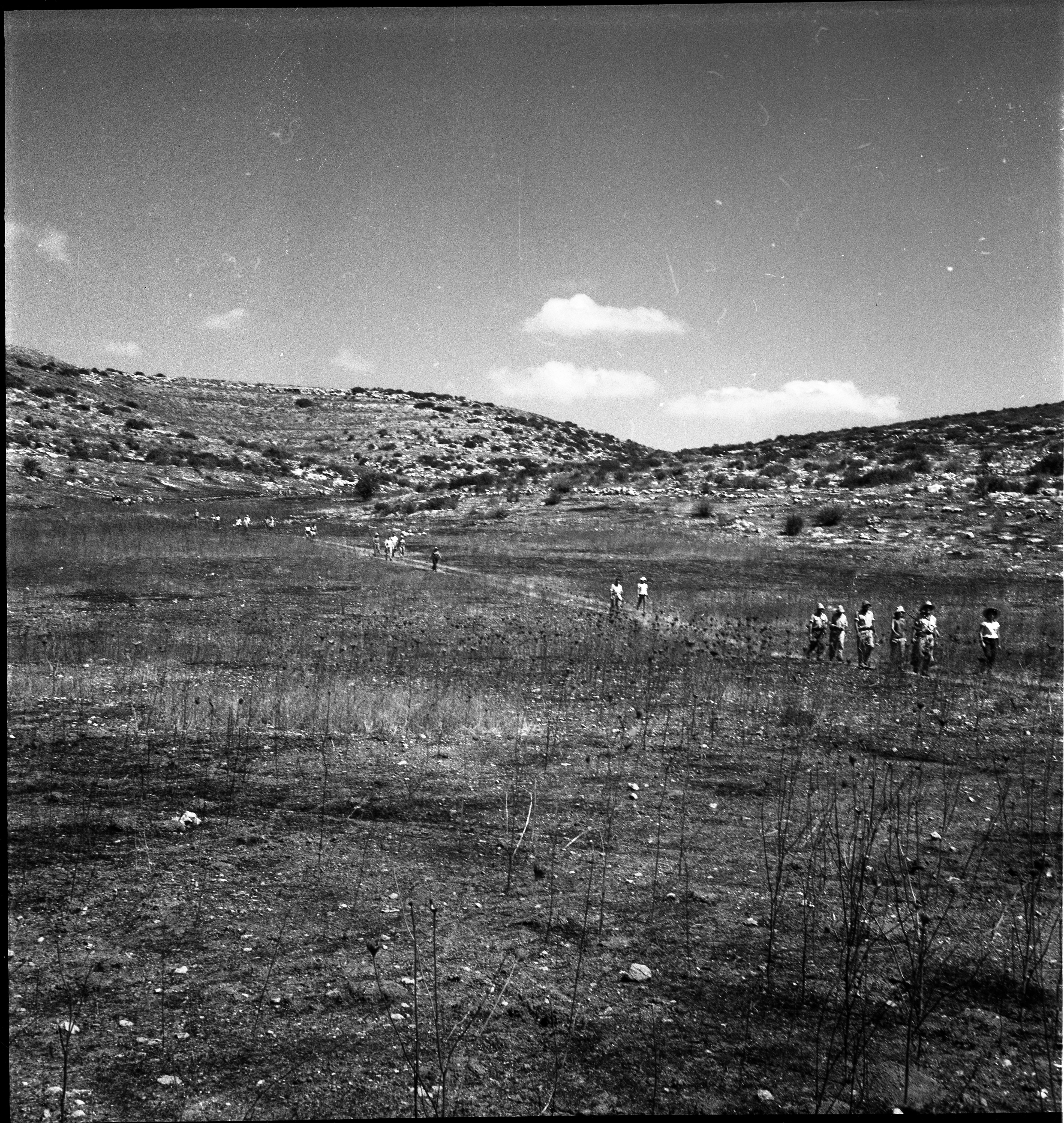  טיול לשפלת יהודה