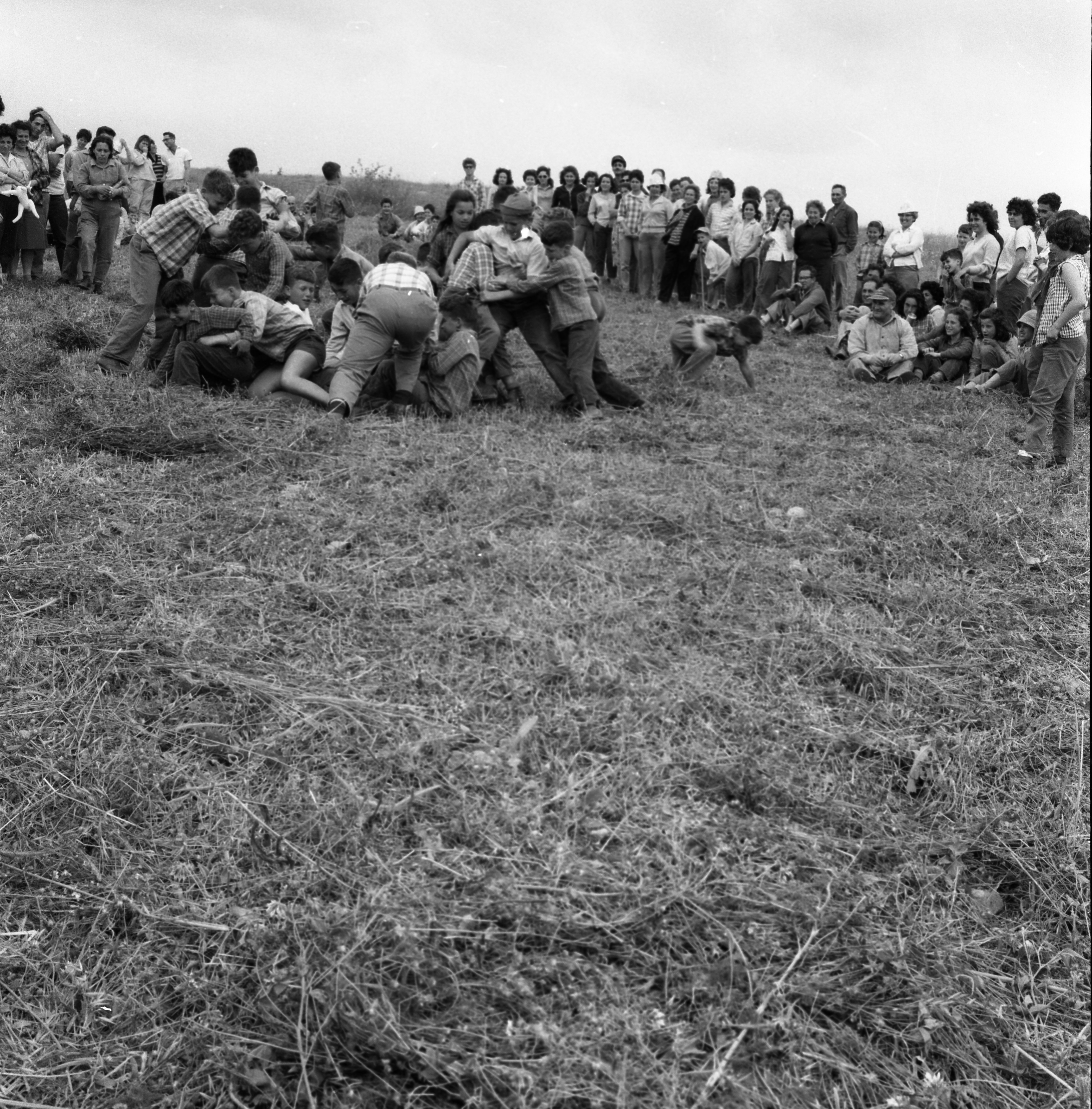  חגי עצמאות/ביכורים תשכ"ד; 1964