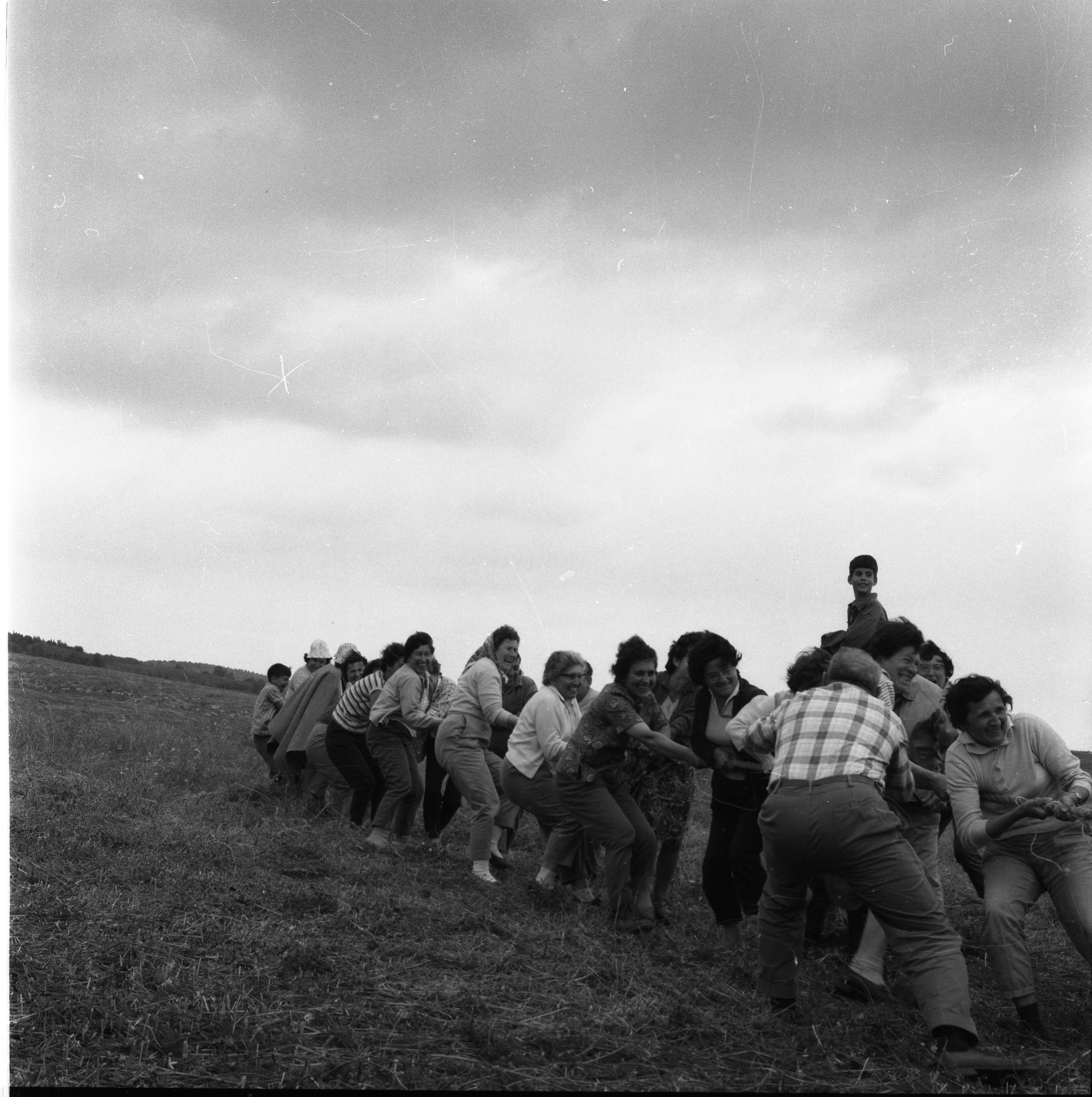  חגי עצמאות/ביכורים תשכ"ד; 1964