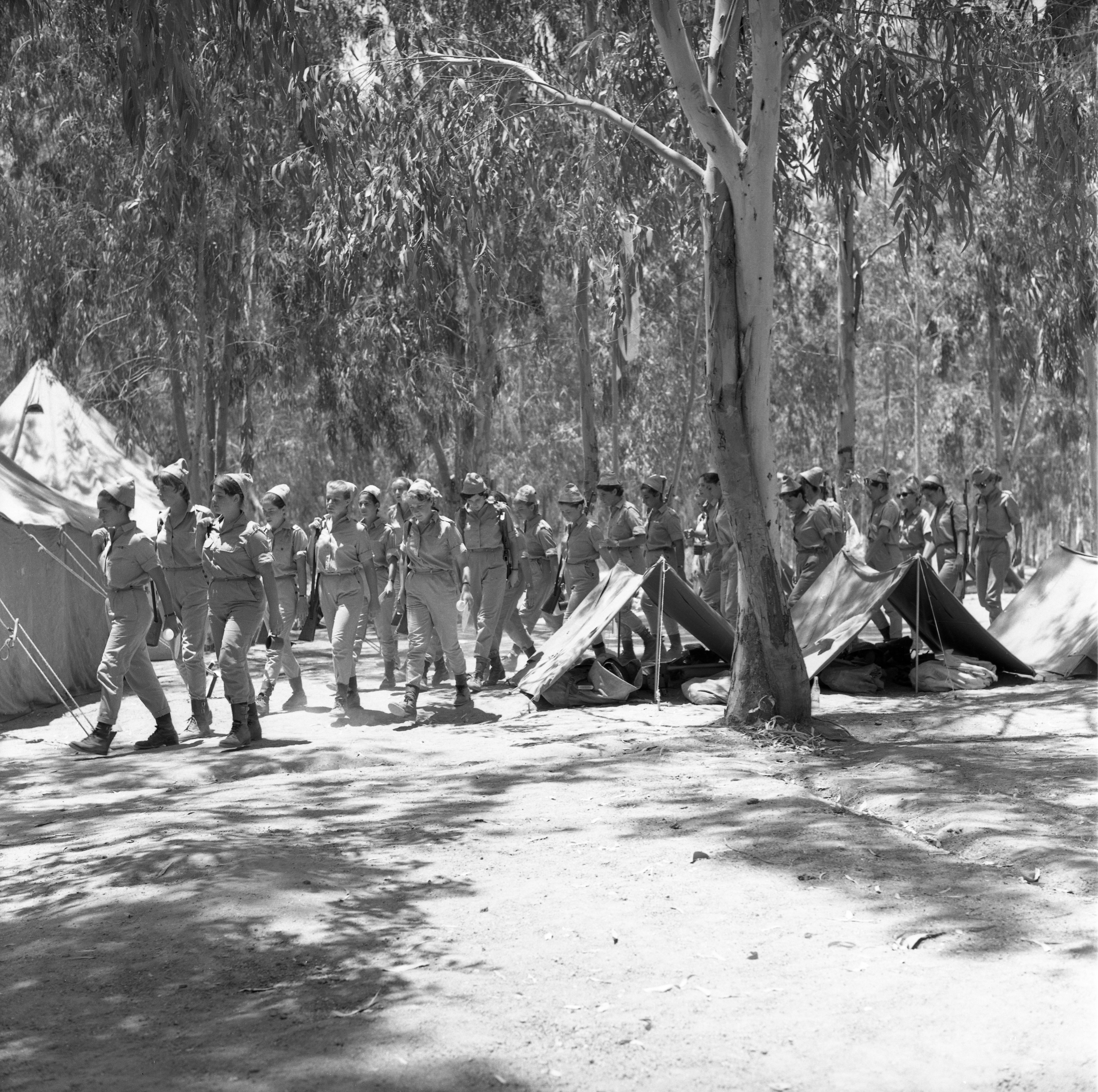  חיילות בסדרת אימון; 1968