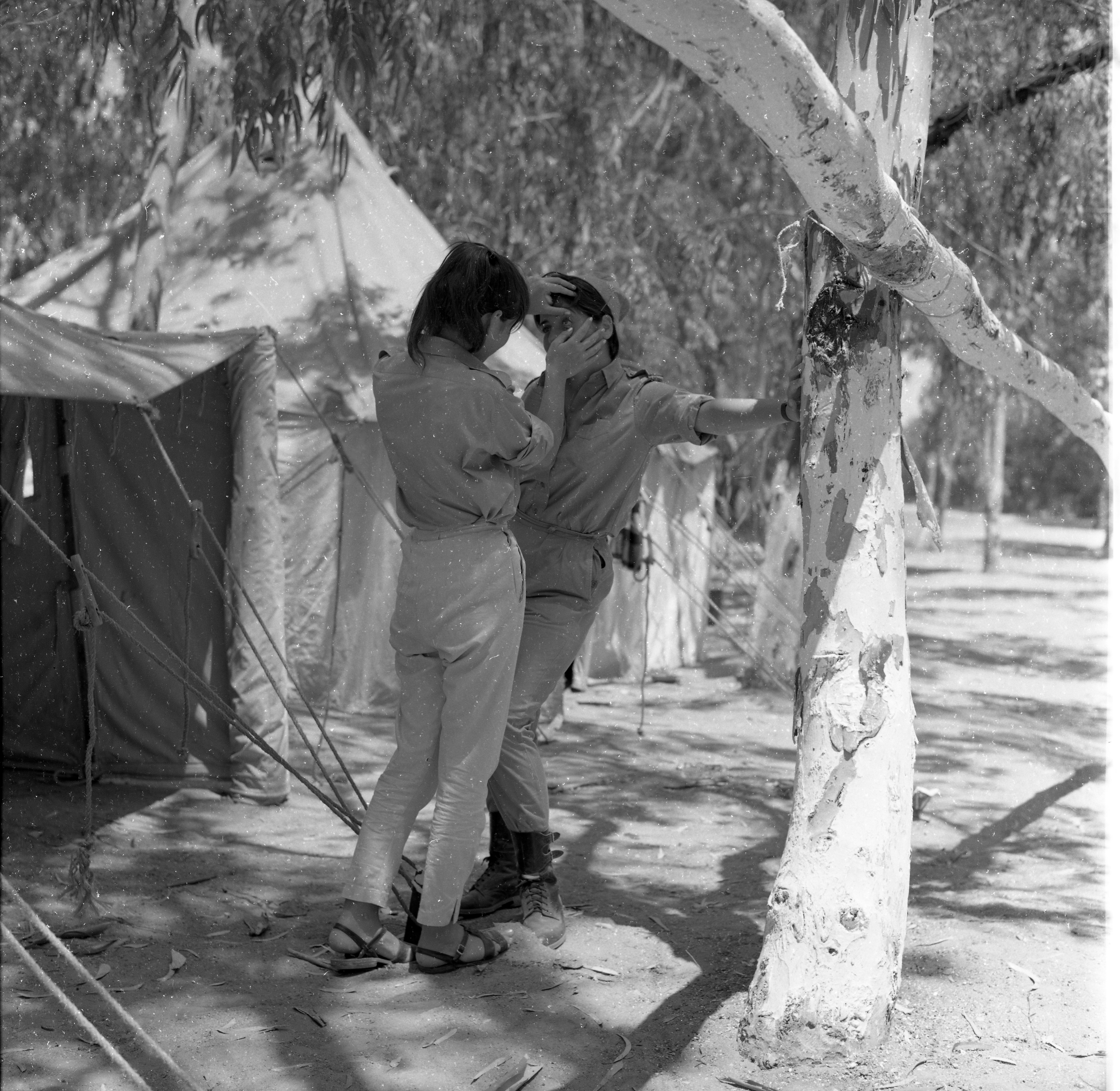  חיילות בסדרת אימון; 1968