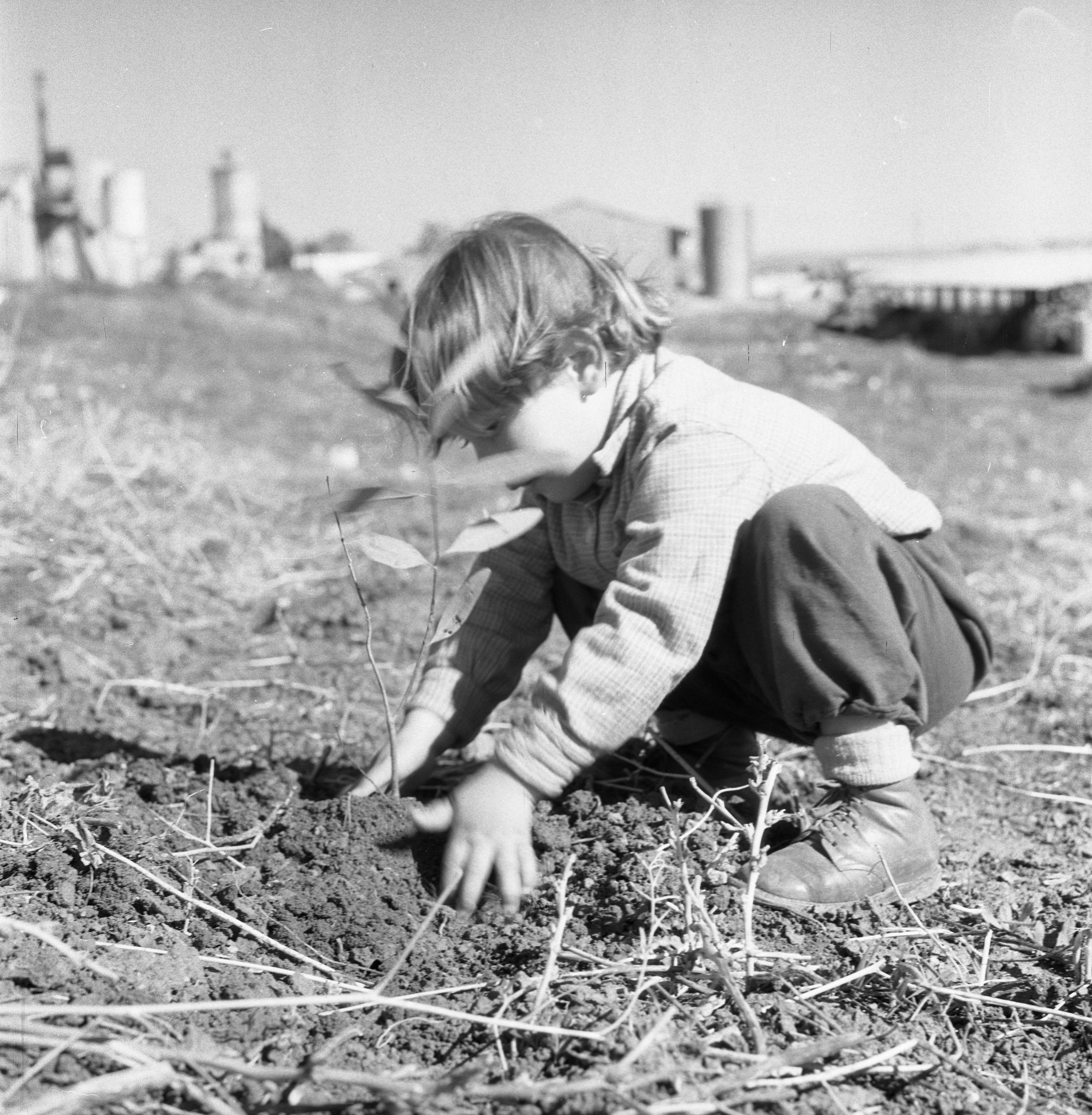  ט"ו בשבט תשכ"א; 1961