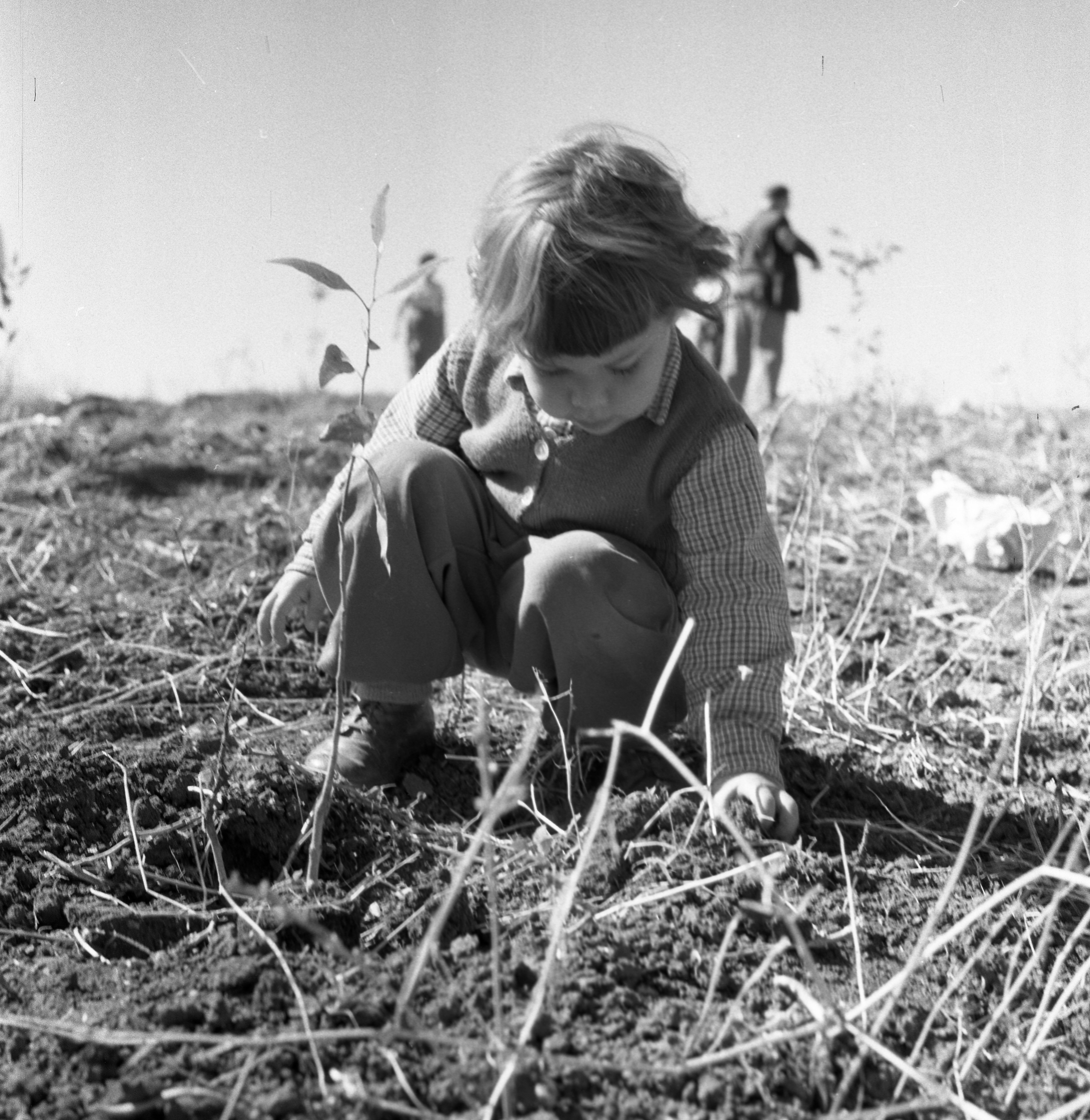  ט"ו בשבט תשכ"א; 1961