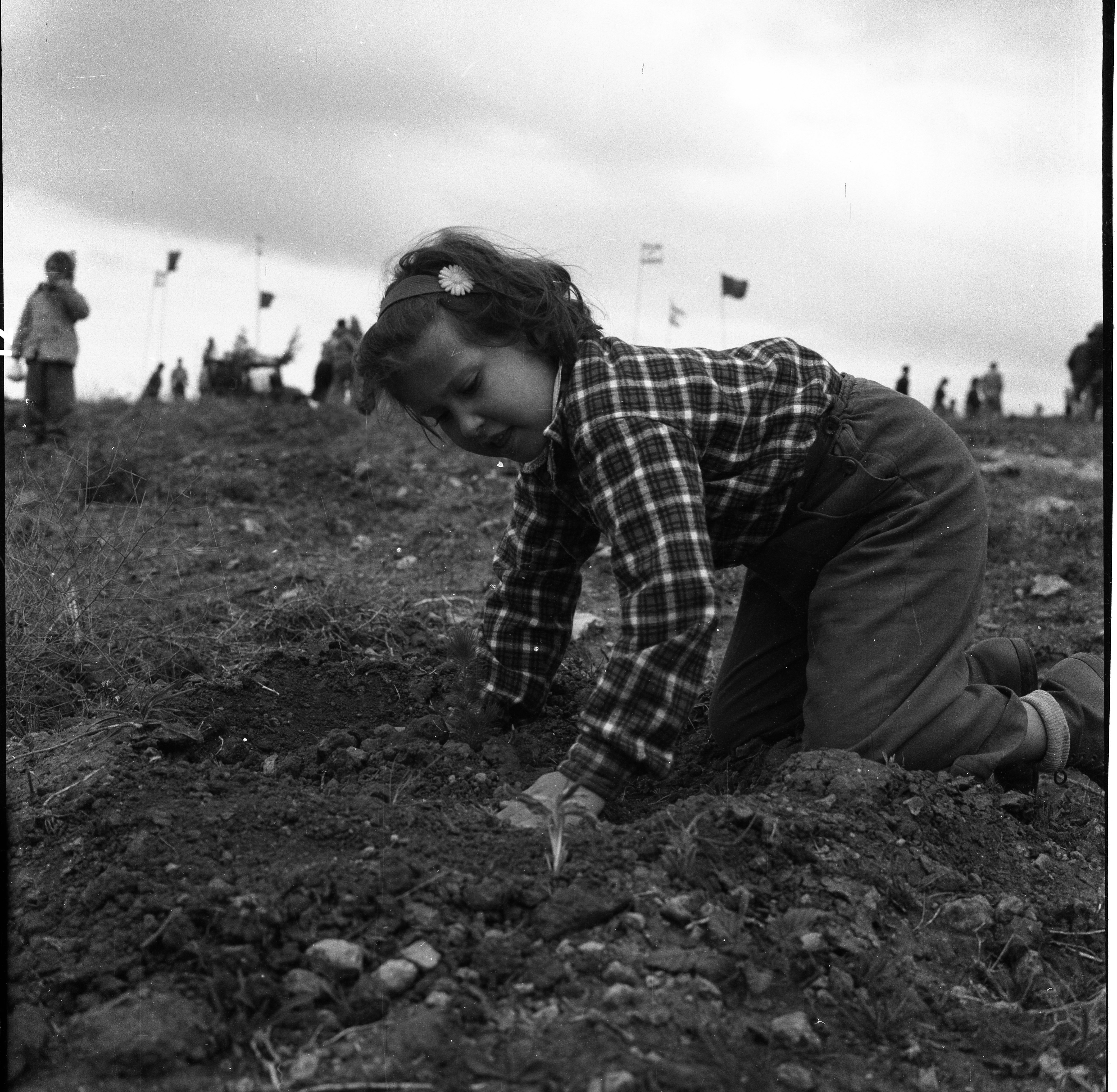  ט"ו בשבט תשכ"א; 1961