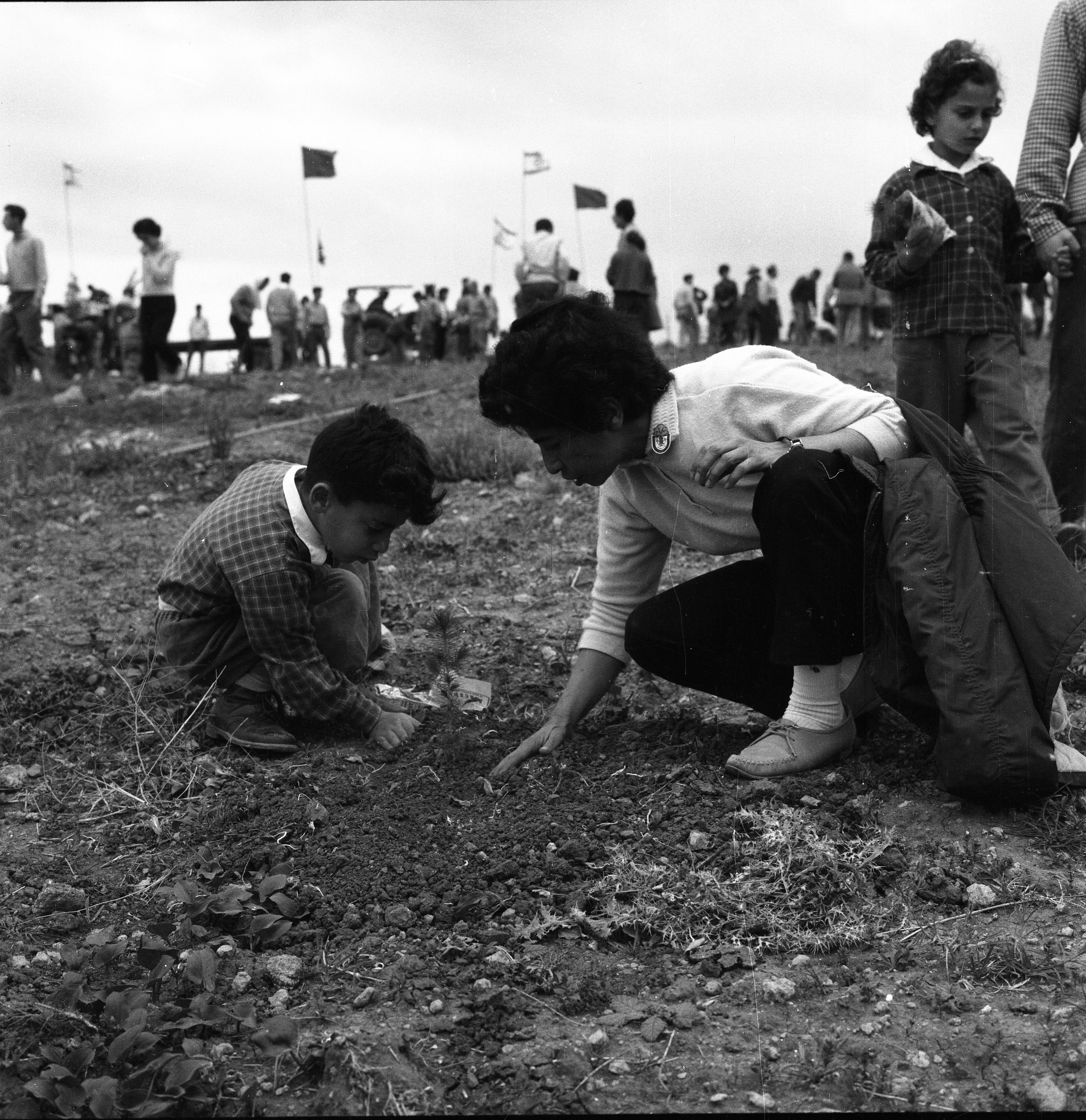  רות כצנלסון ט"ו בשבט תשכ"א; 1961