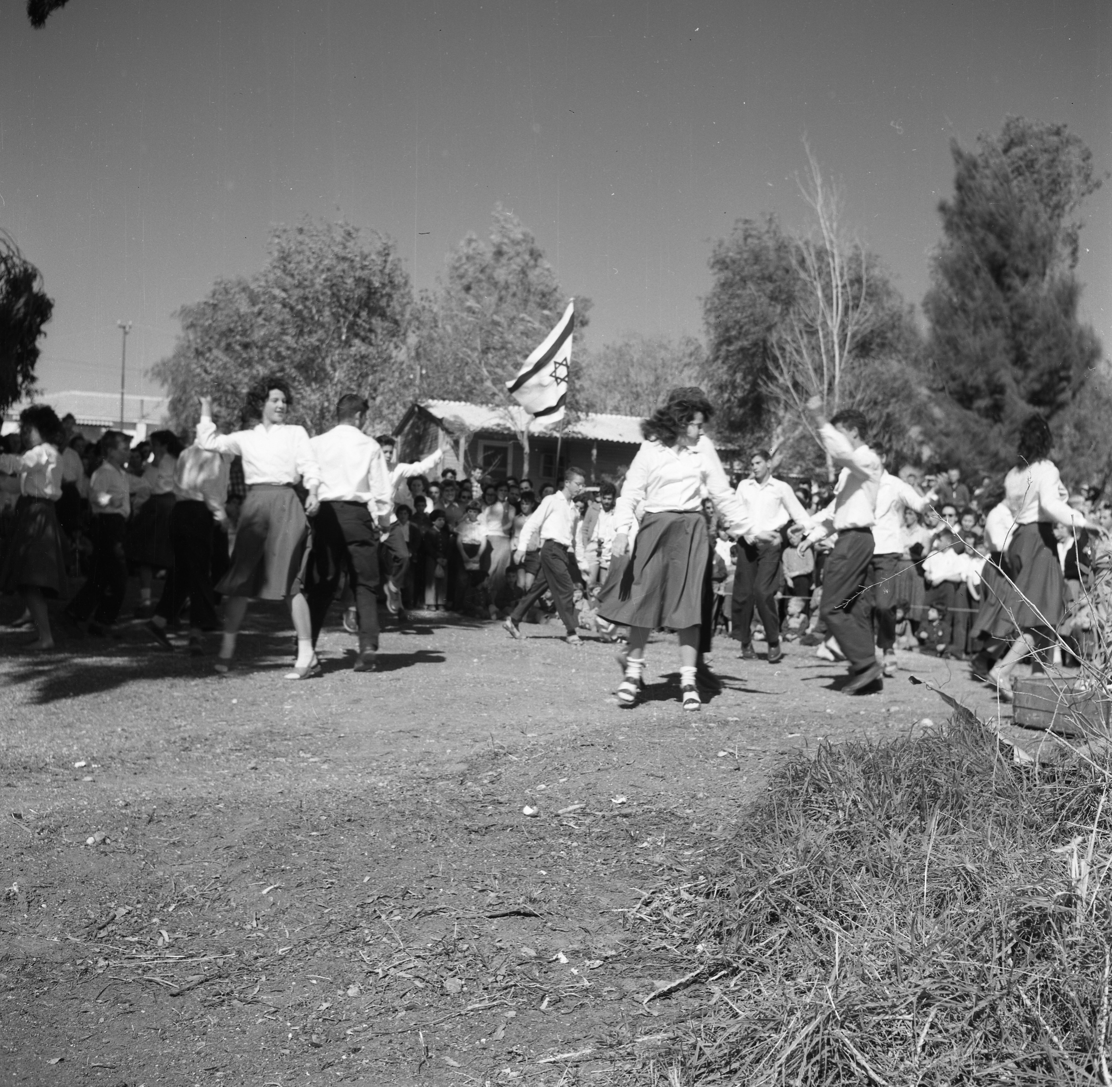  ט"ו בשבט; 1960