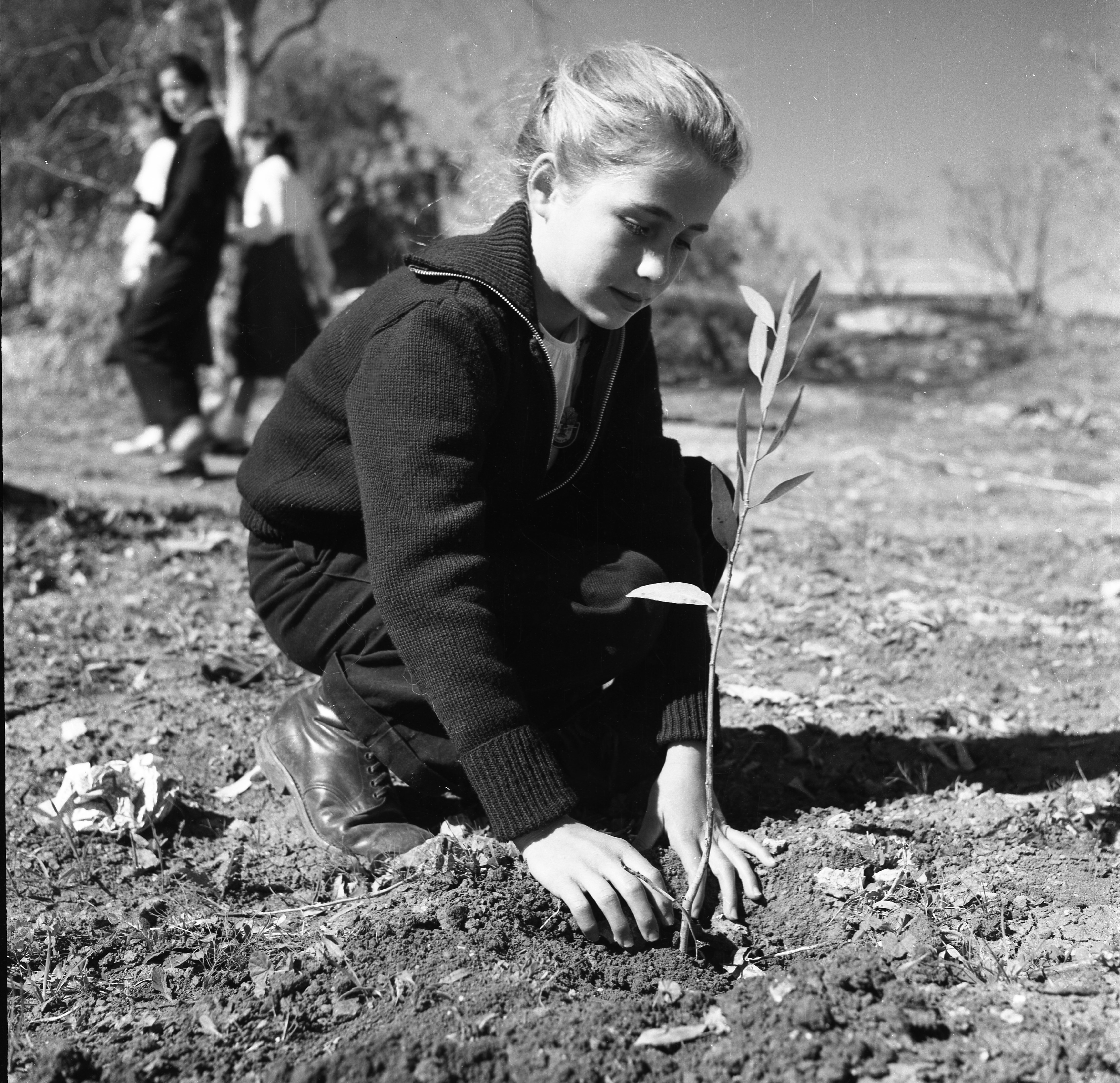  נעמי רור ט"ו בשבט; 1960