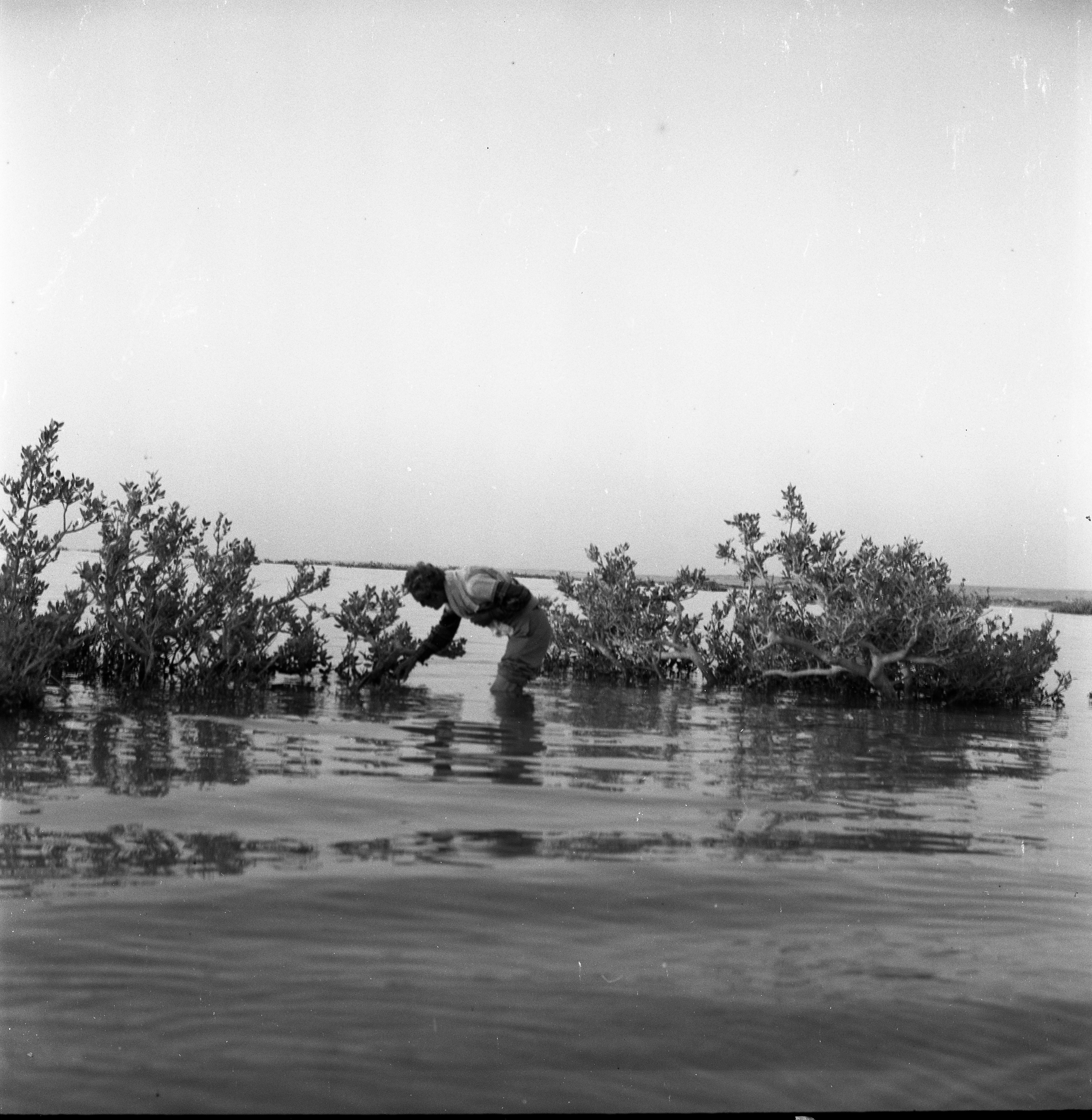  טיול חברי כפר מנחם לסיני, מרץ ; 1972