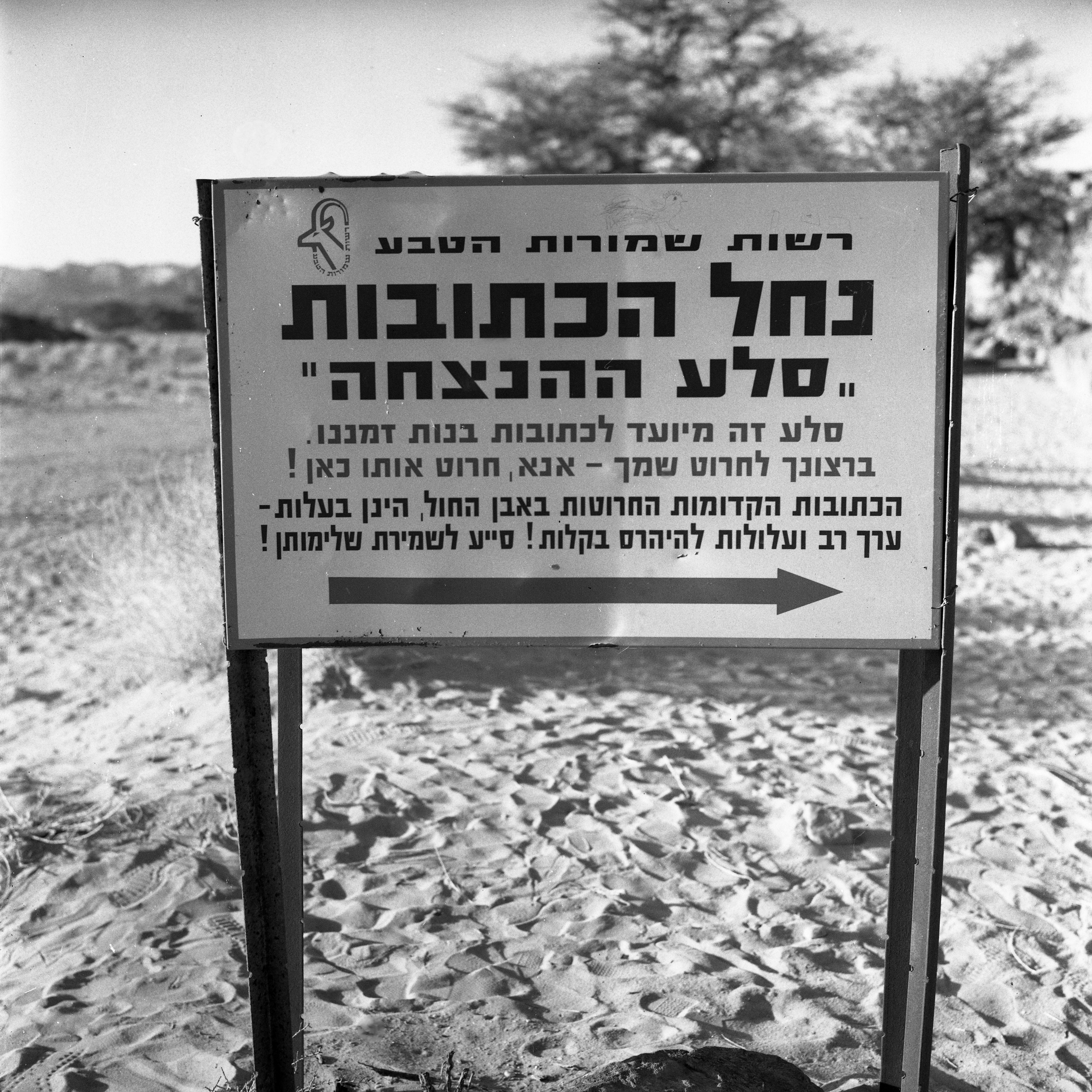  הטיול לסיני; 1972