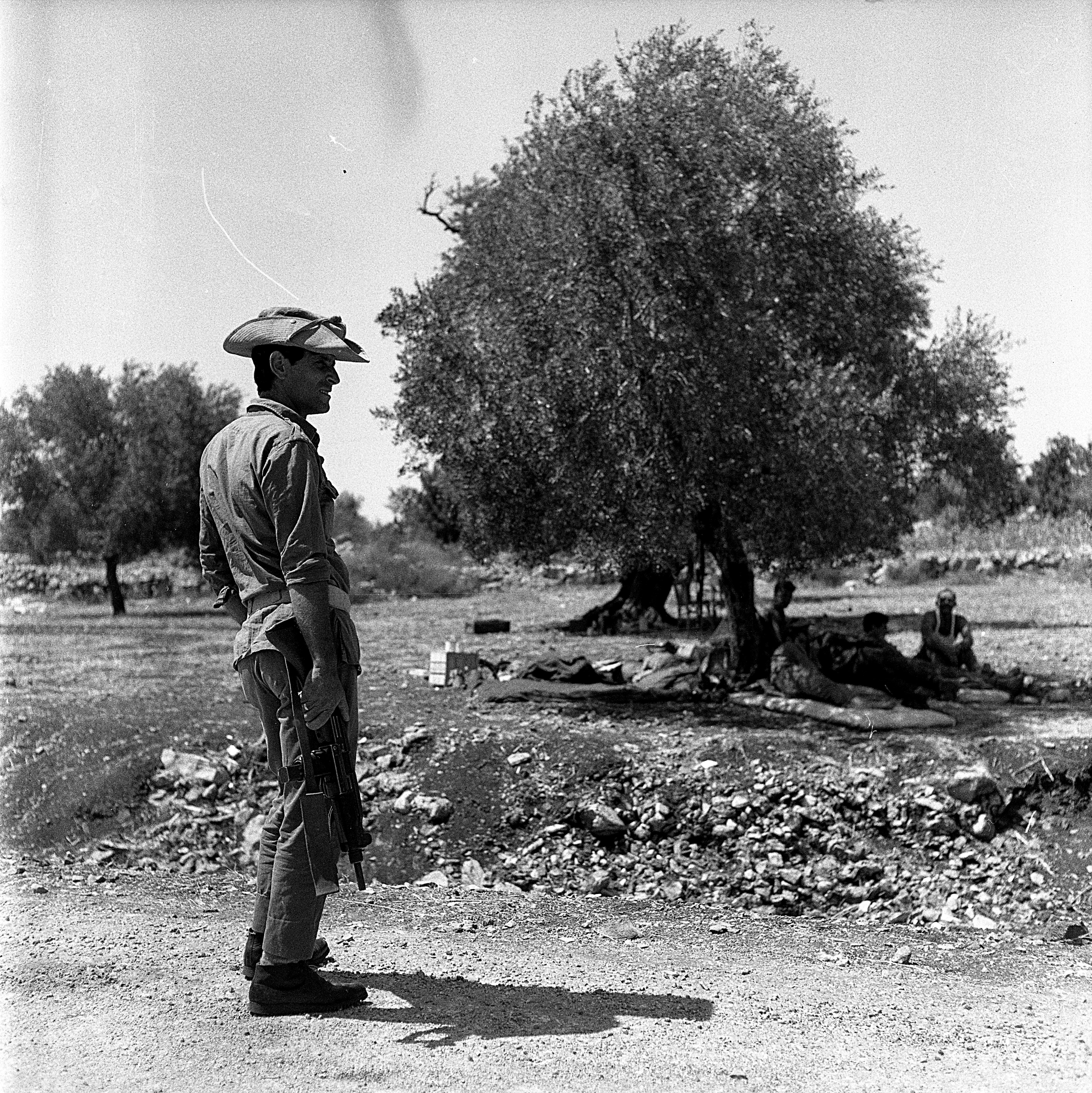  חיילי צה"ל במטע זיתים; 1968