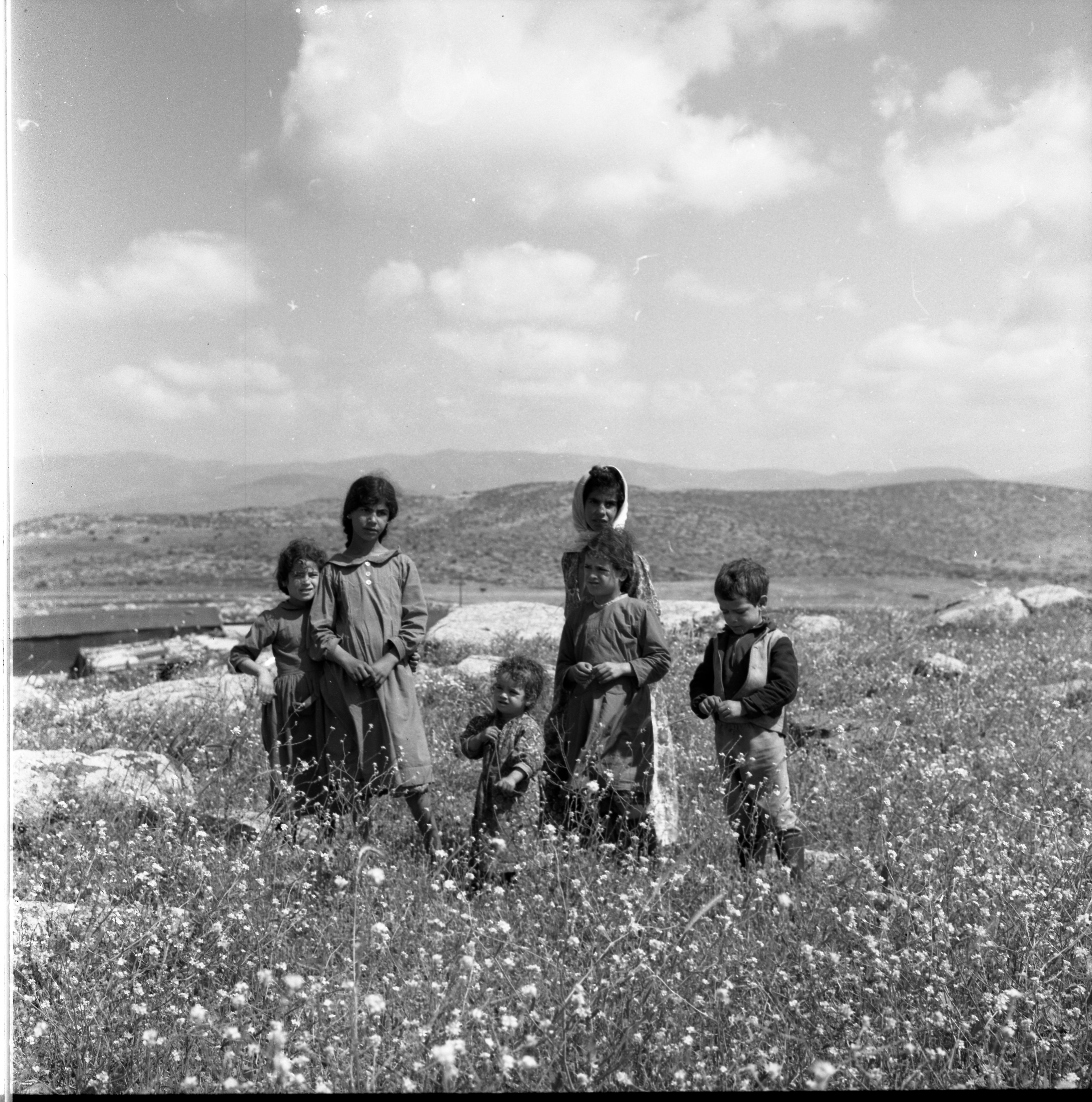  טיול; 1962