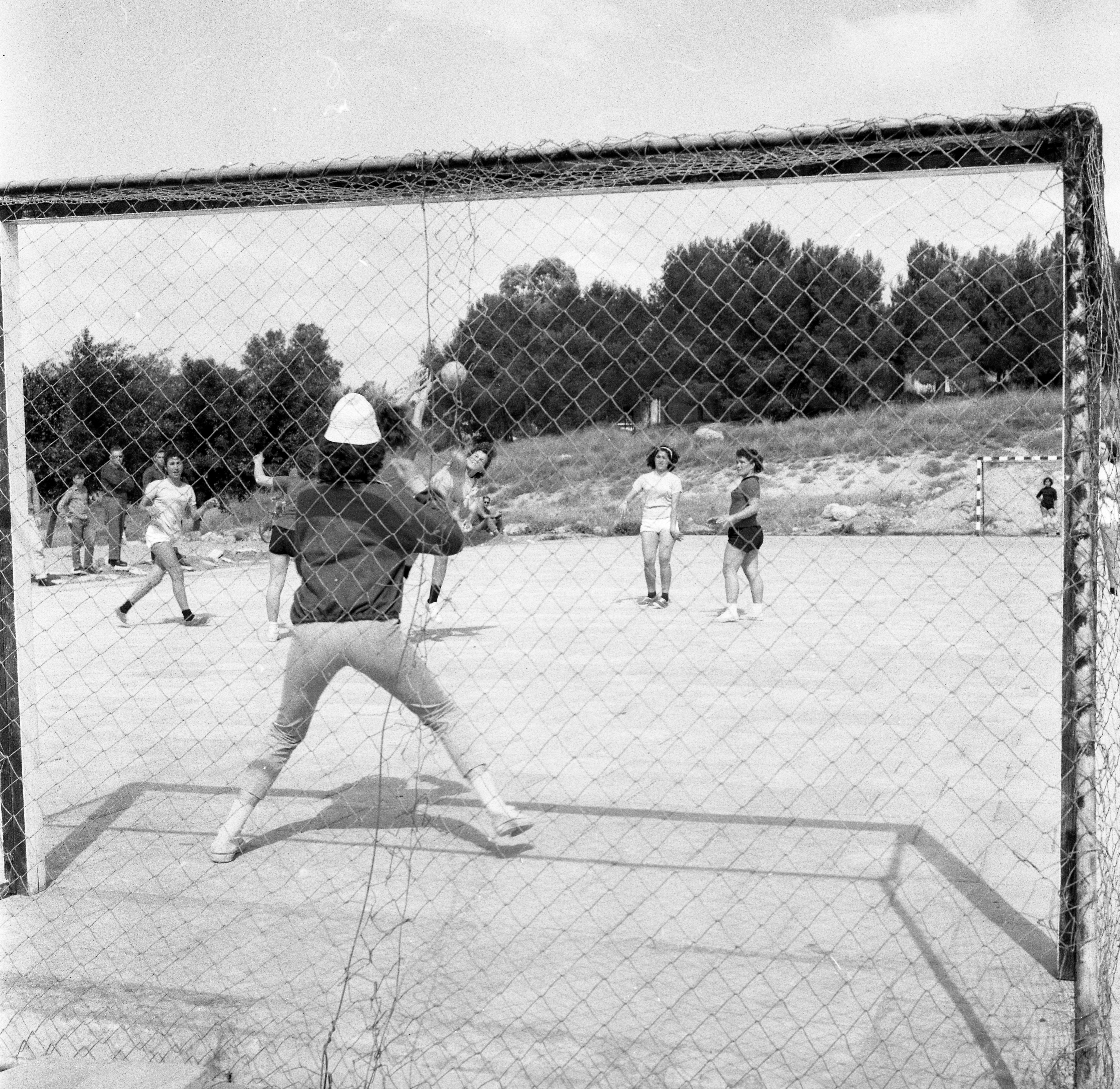  כדור יד ,טורניר; 1966