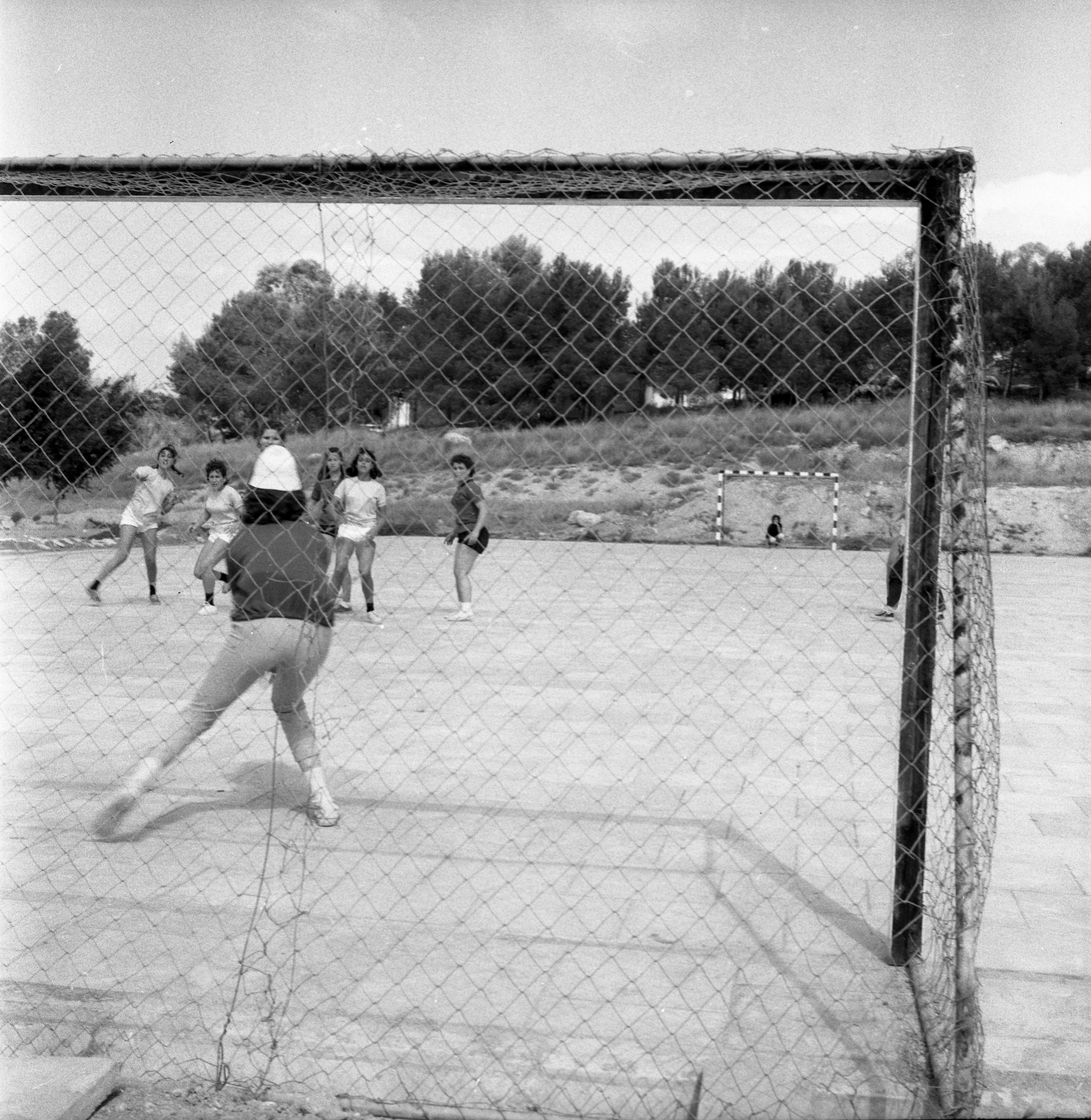 כדור יד ,טורניר; 1966
