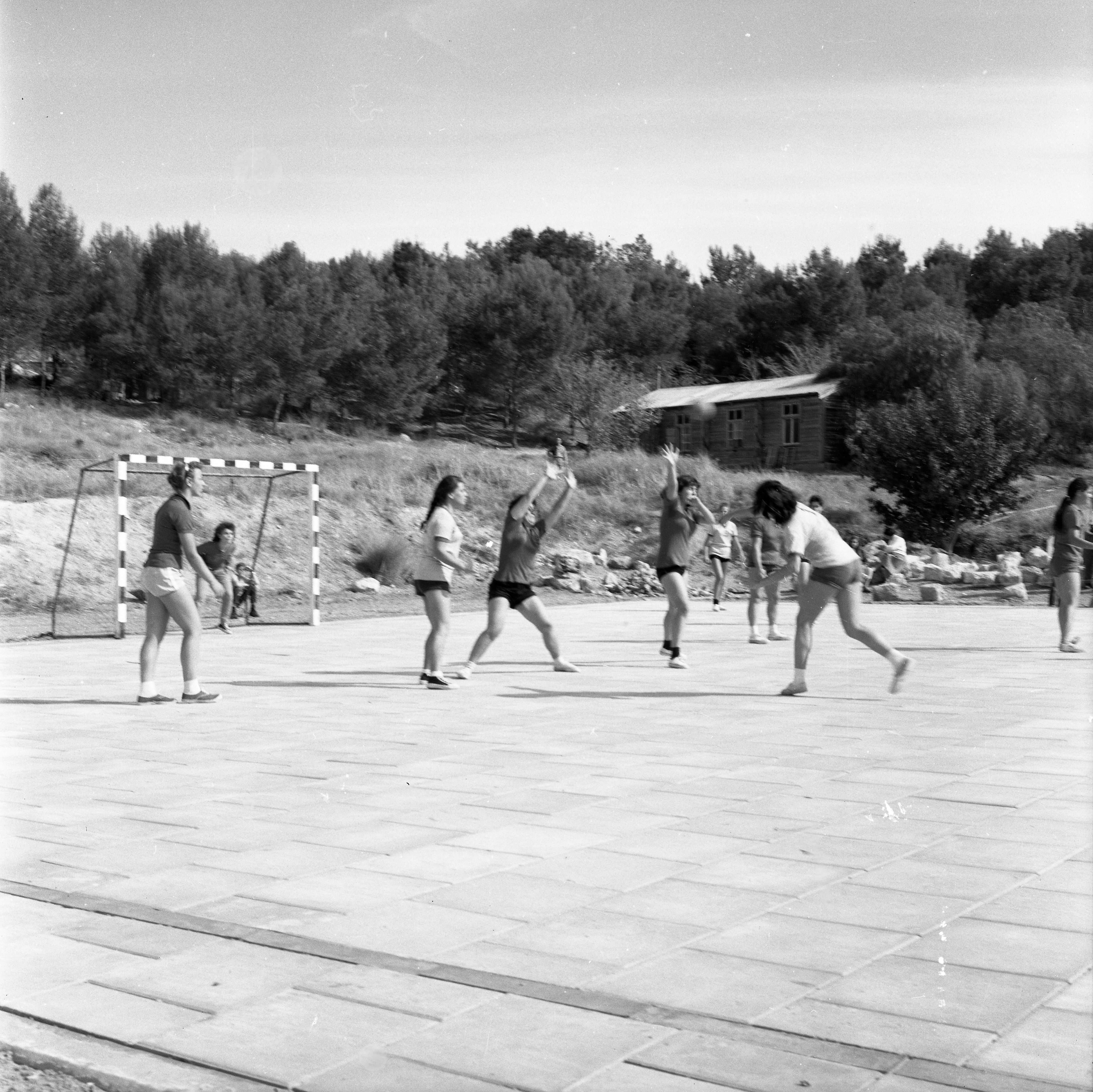  כדור יד ,טורניר; 1966