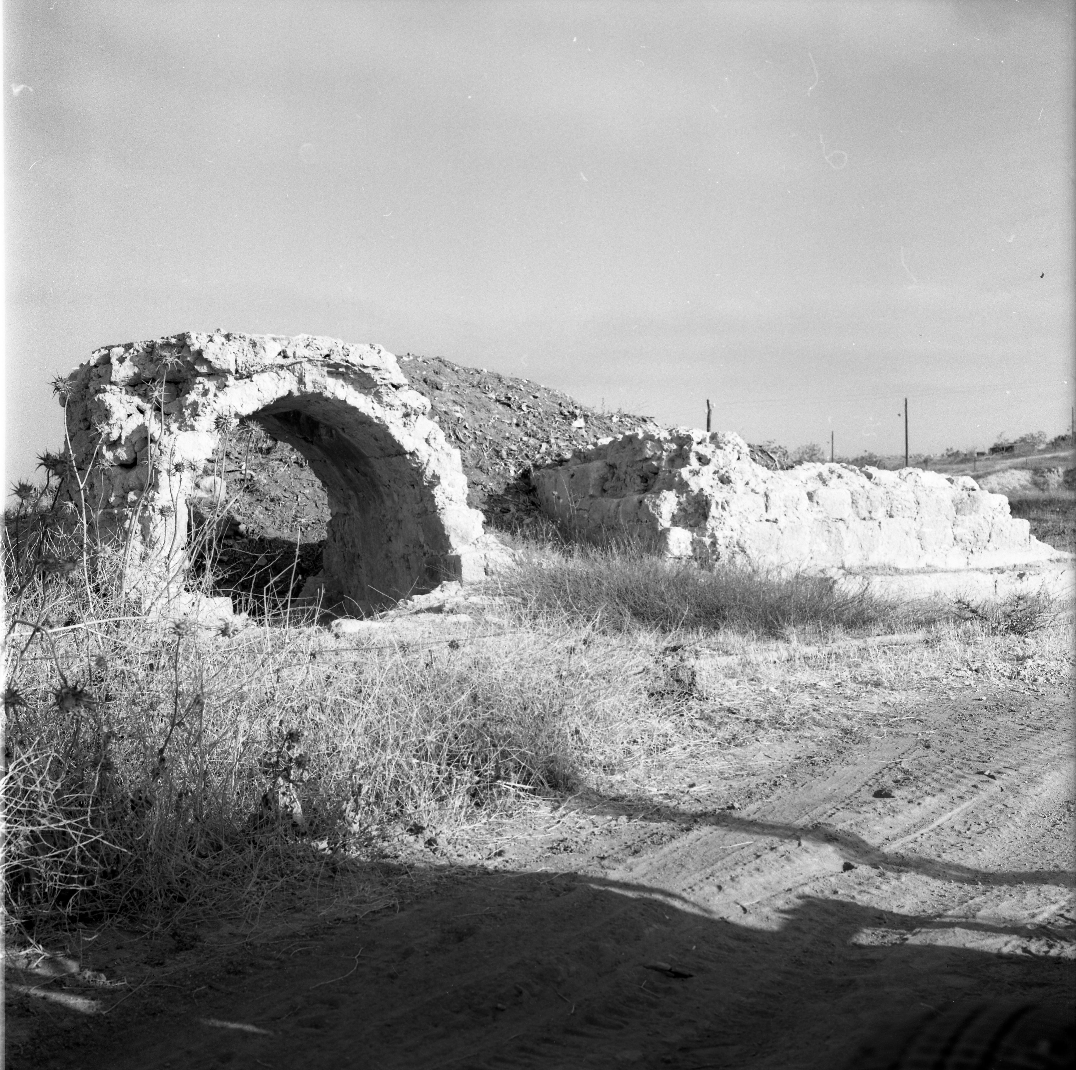  סקר ארכיאולוגי, יוני; 1960