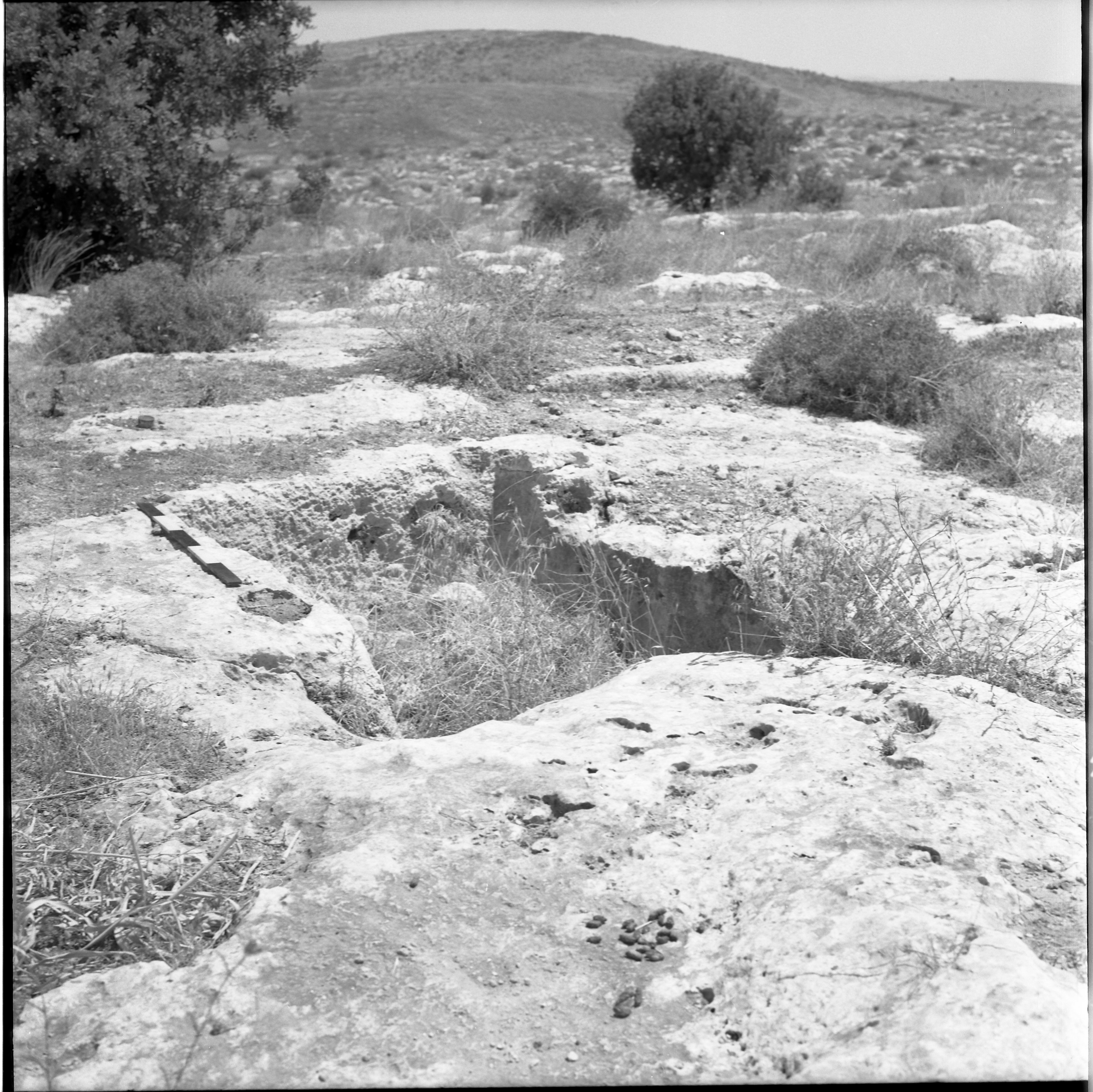  סקר ארכיאולוגי, יוני; 1960