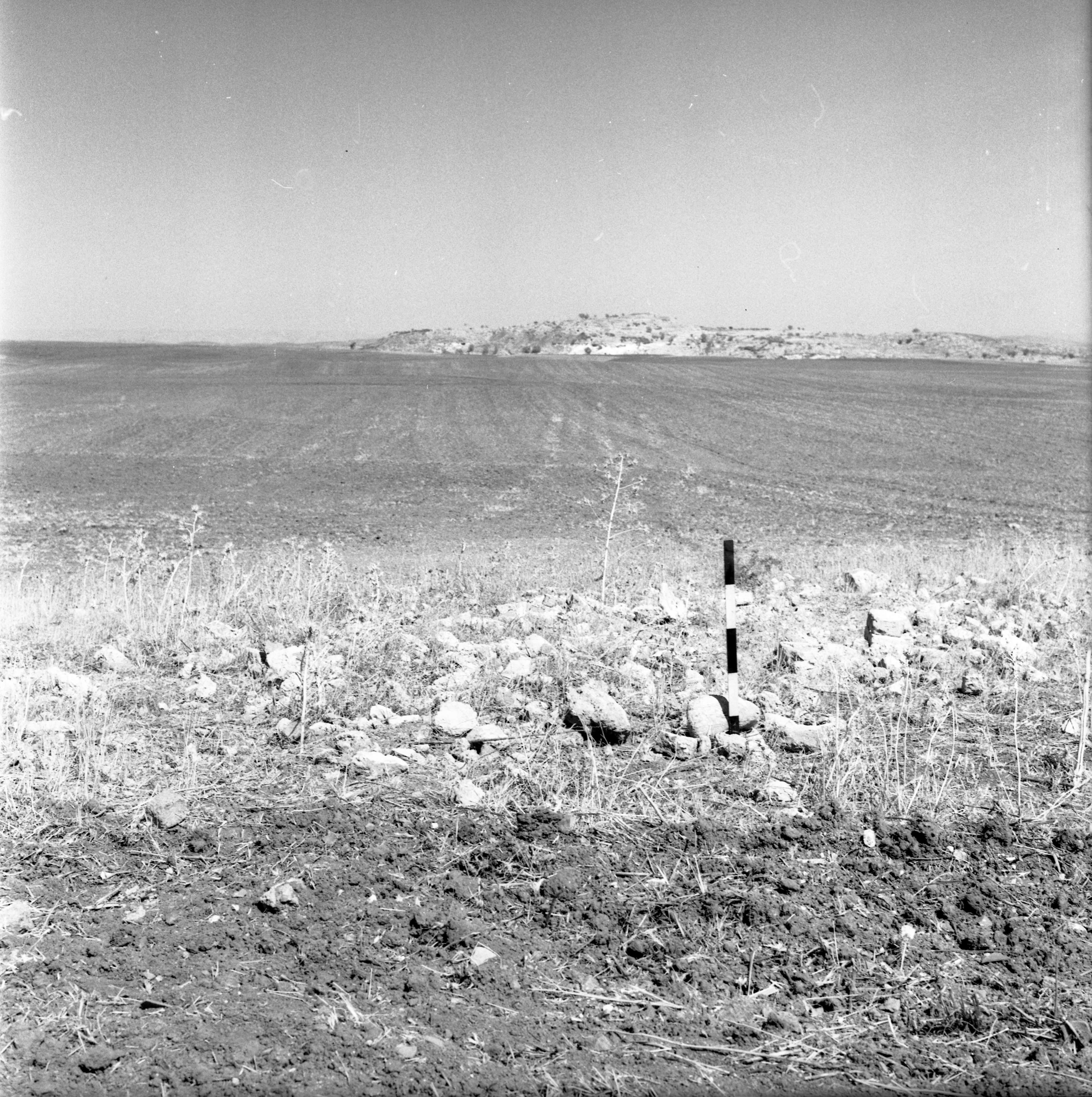  סקר ארכיאולוגי, יוני; 1960