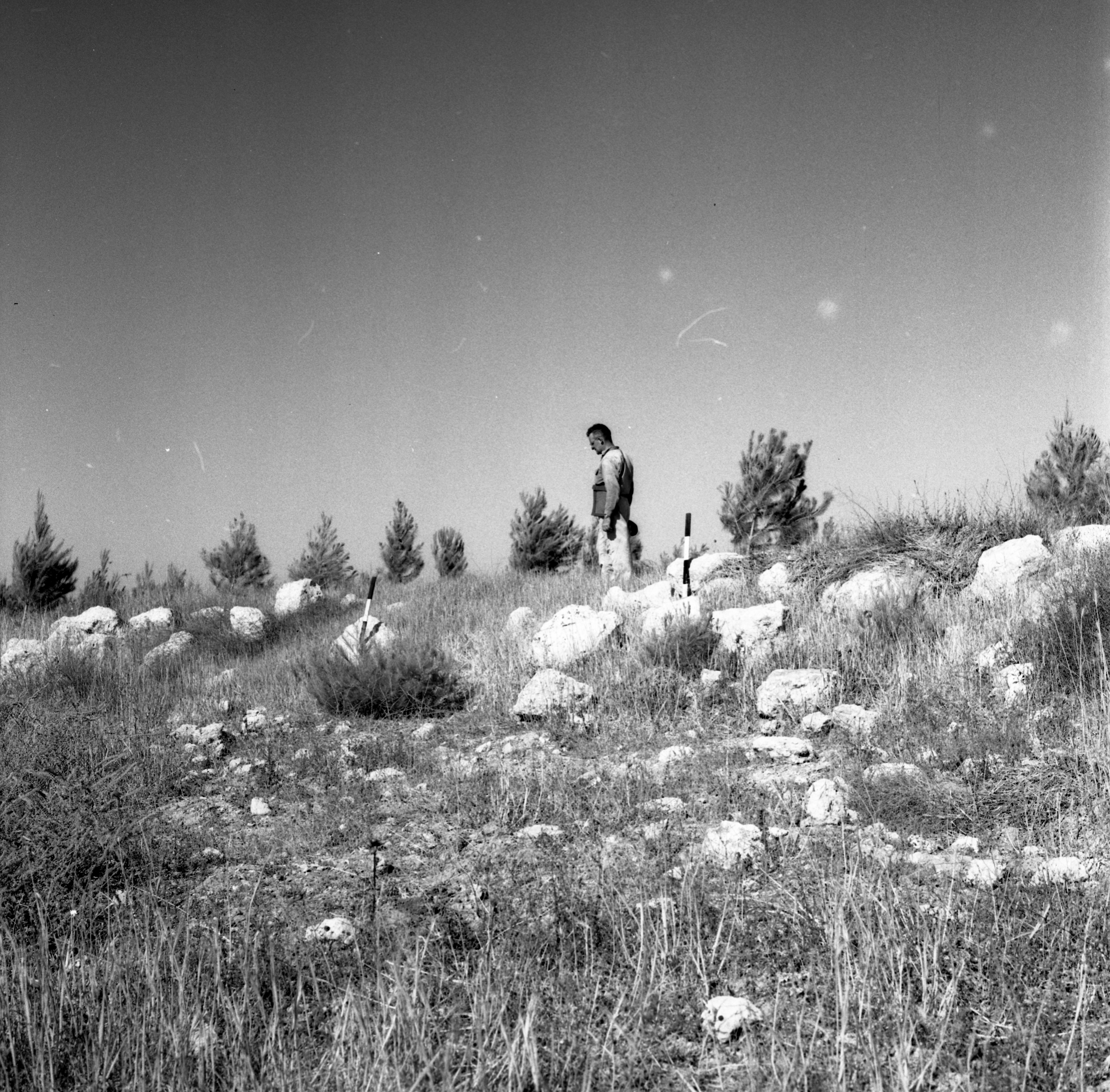  סקר ארכיאולוגי, יוני; 1960