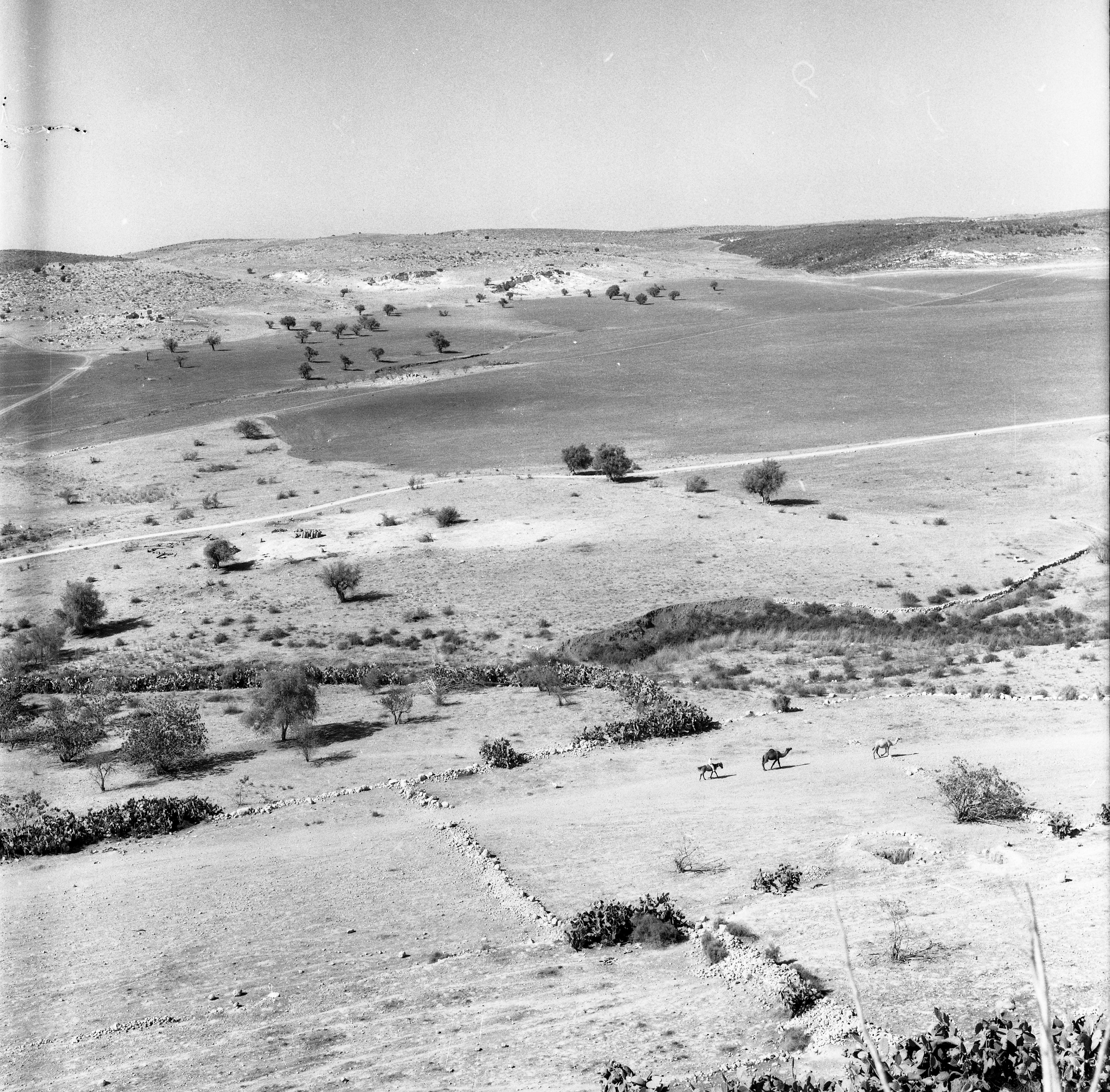  סקר ארכיאולוגי, יוני; 1960