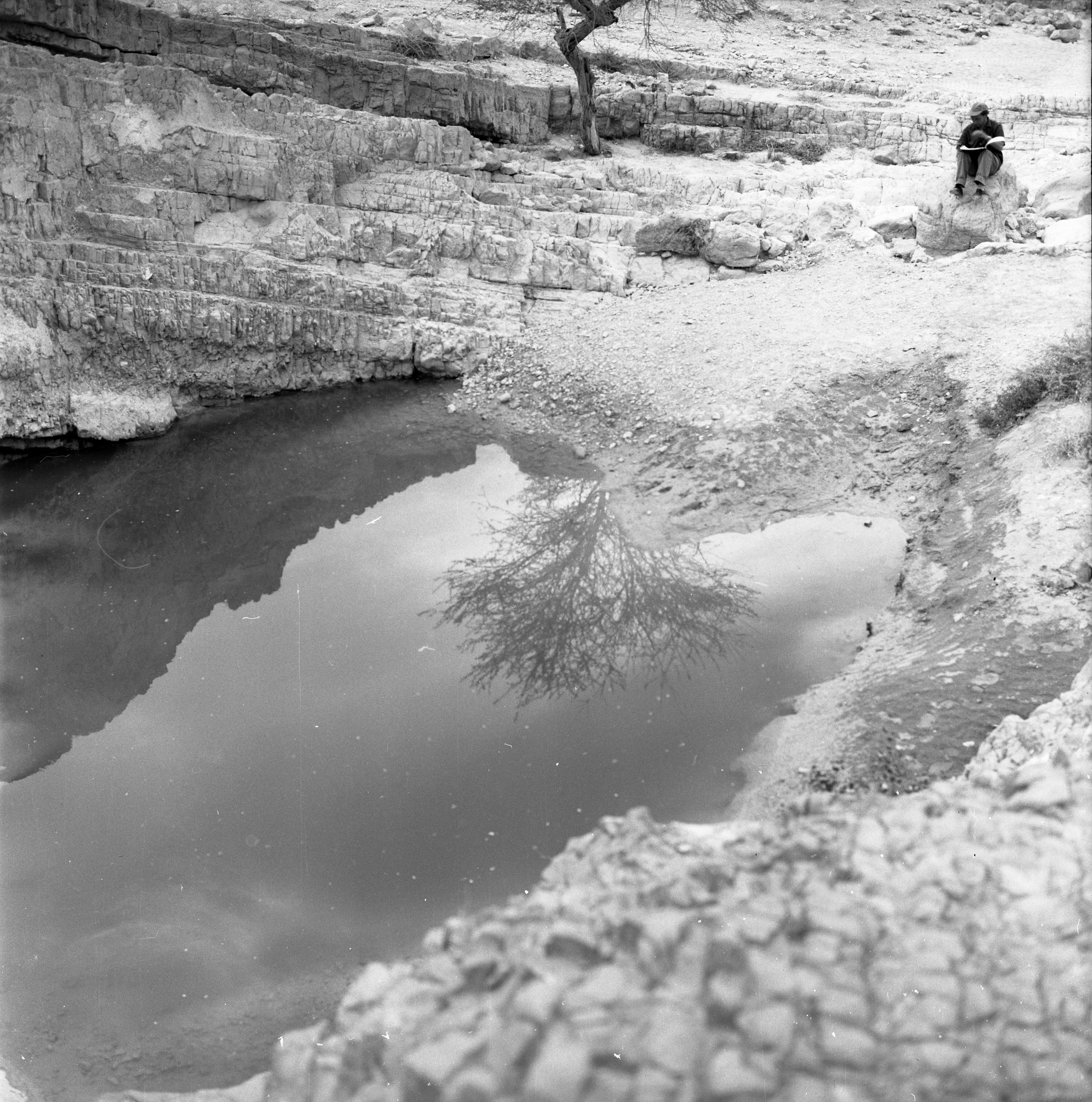  עם ציירי הקבה"א ; 1964