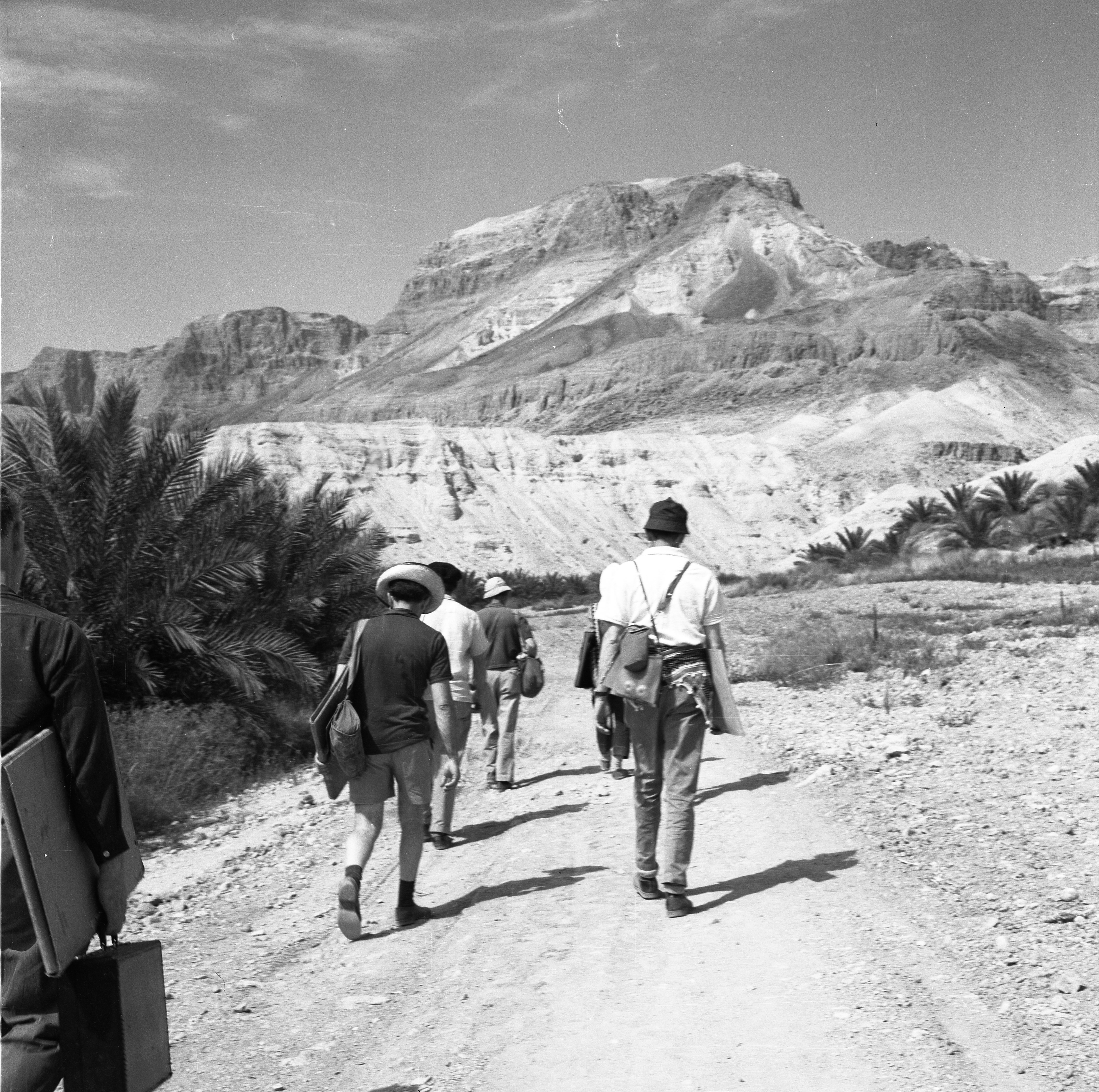  עם ציירי הקבה"א בנחל דוד ; 1964