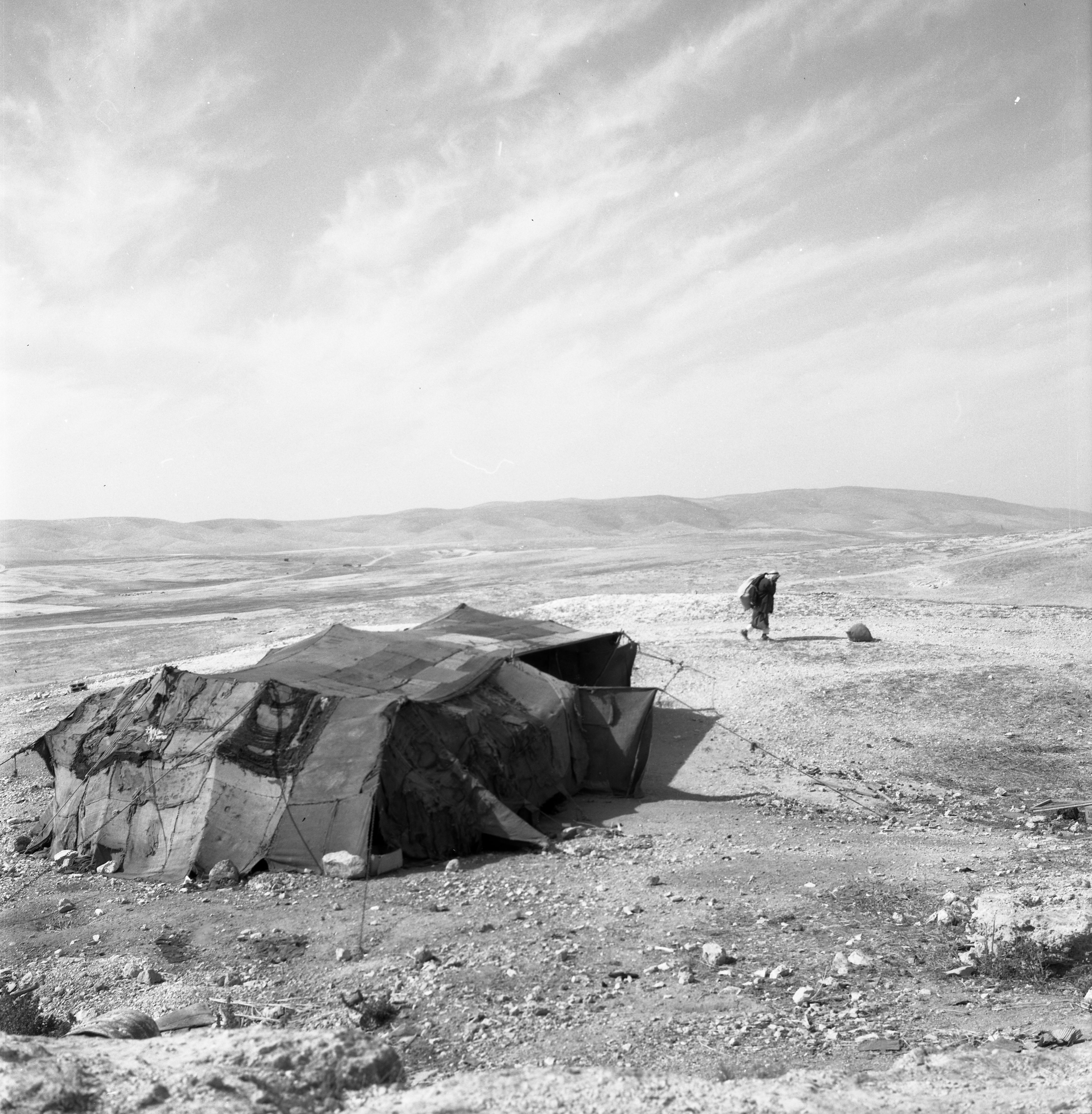  עם ציירי הקבה"א בעין- גדי ; 1964