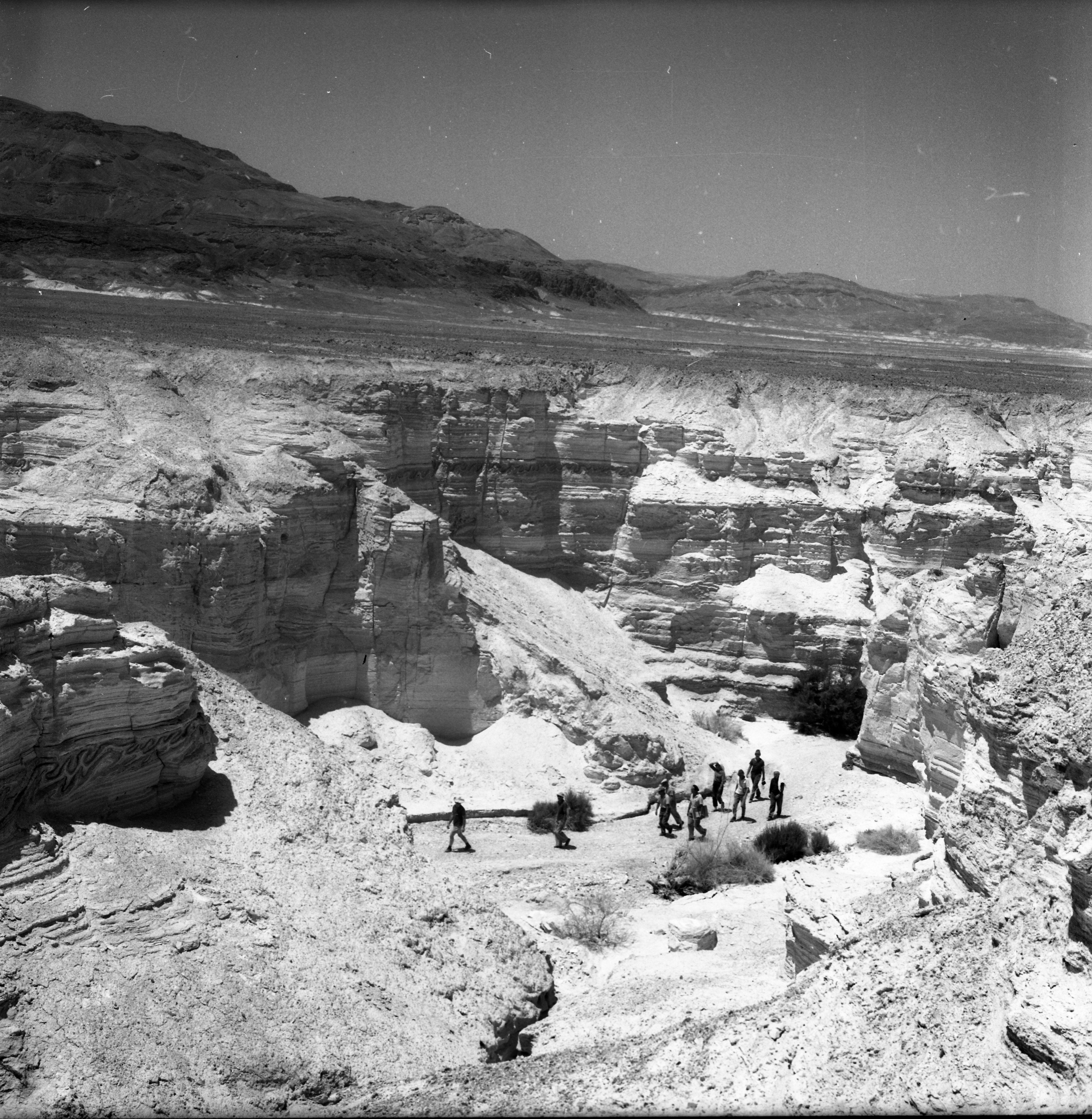  עם ציירי הקבה"א; 1964