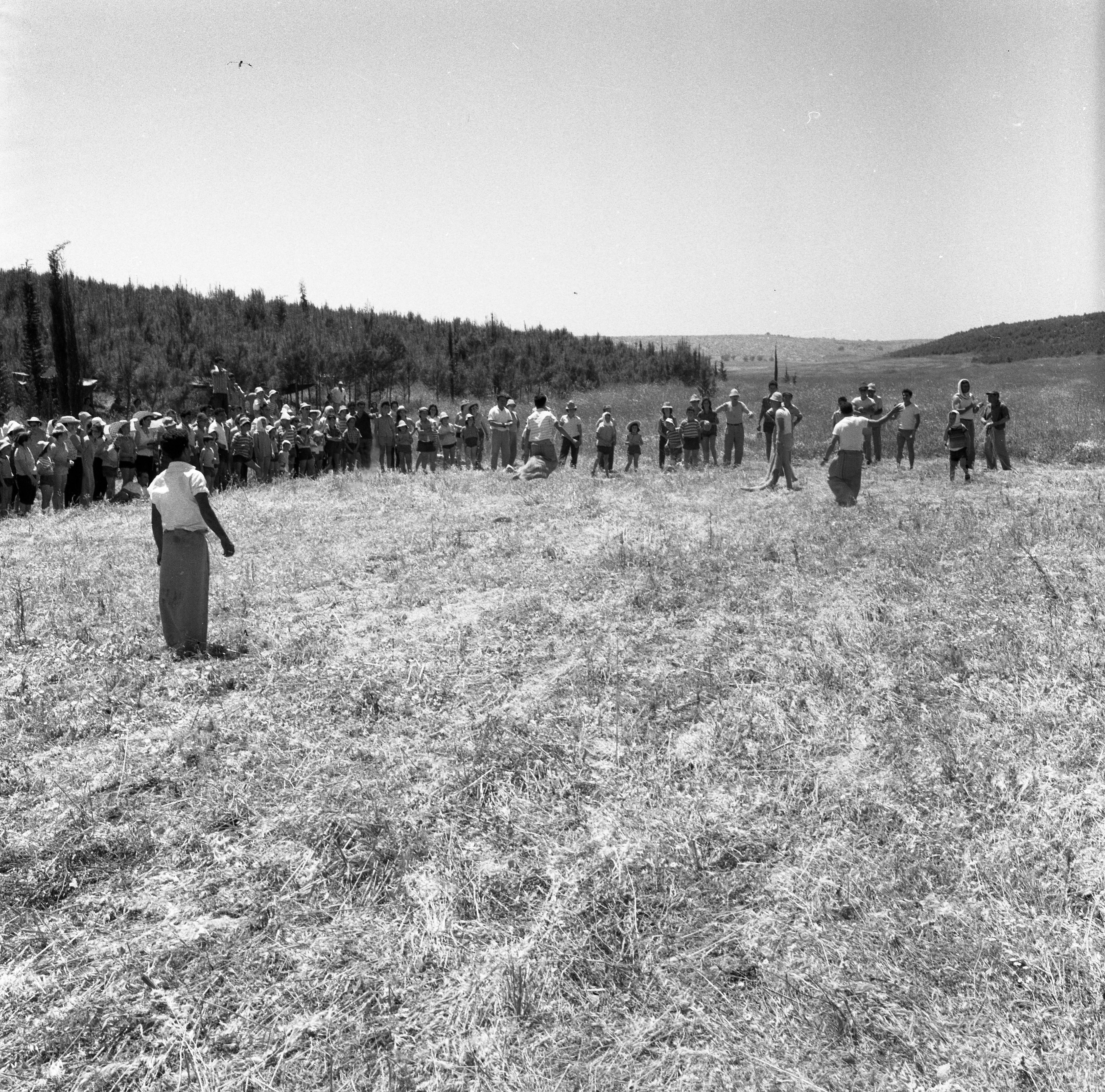  פיקניק בחג העצמאות ; 1961