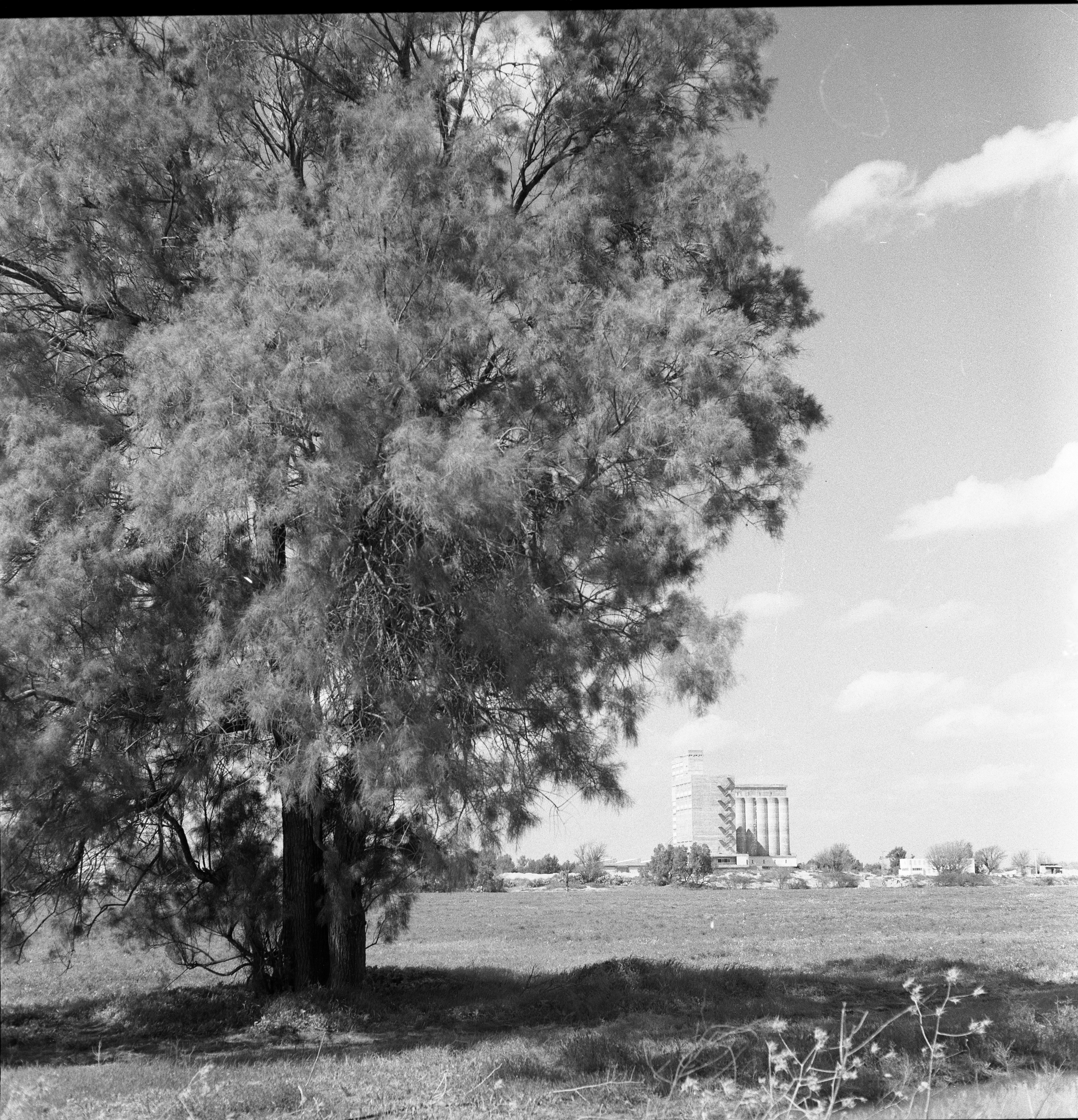  קצנשטיין-אדלר, צילומים בפנים המפעל, יולי; 1970