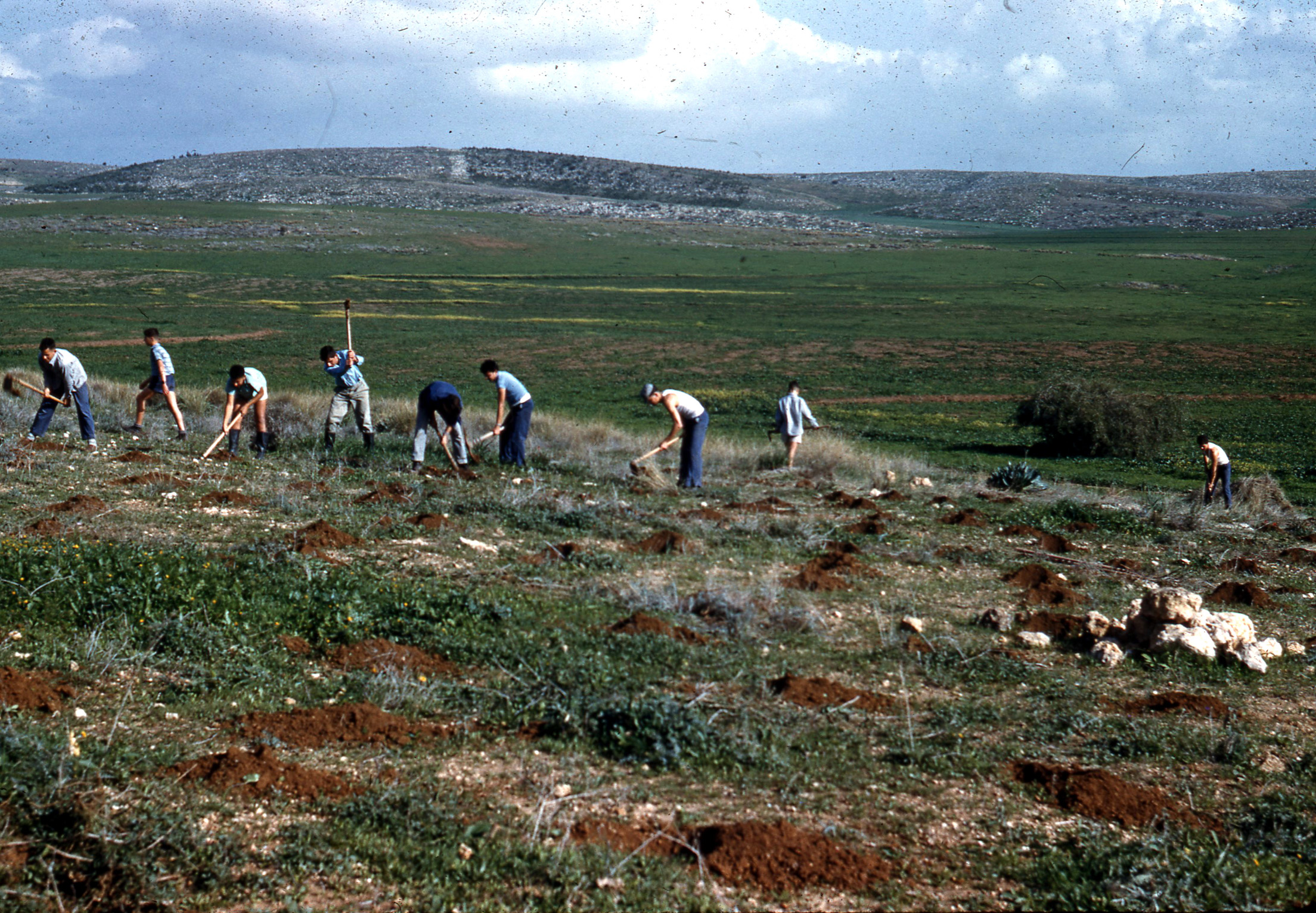 28485 - פרלמוטר_787.jpg