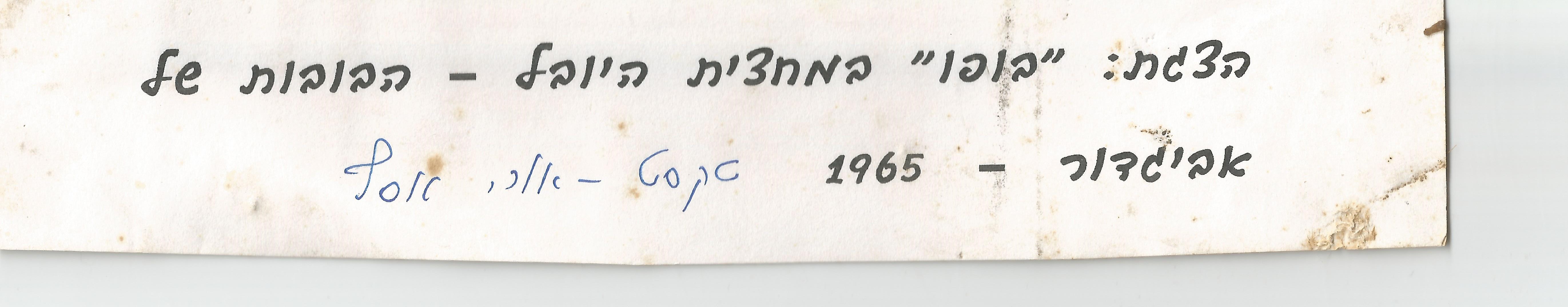 34826 - 4.1.4.1 הצגת תאטרון בובות.jpg