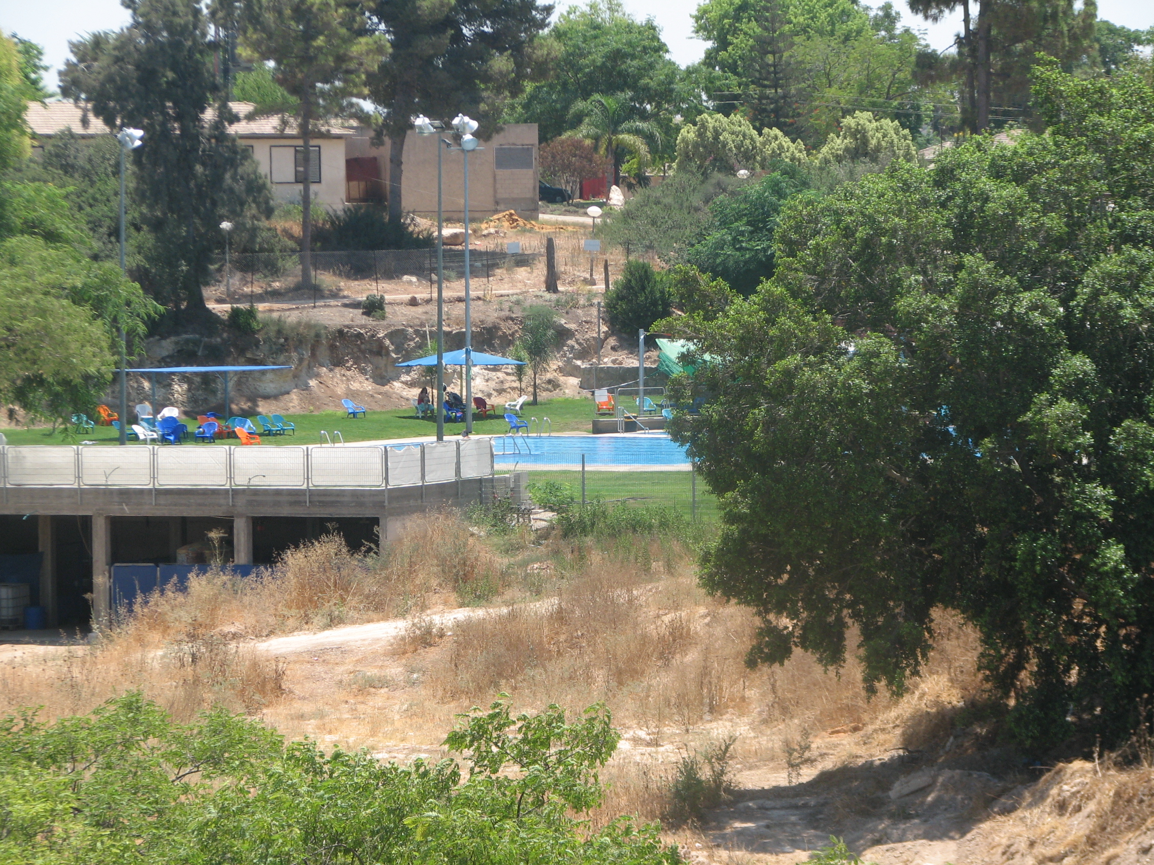 37805 - בריכת שחיה.jpg