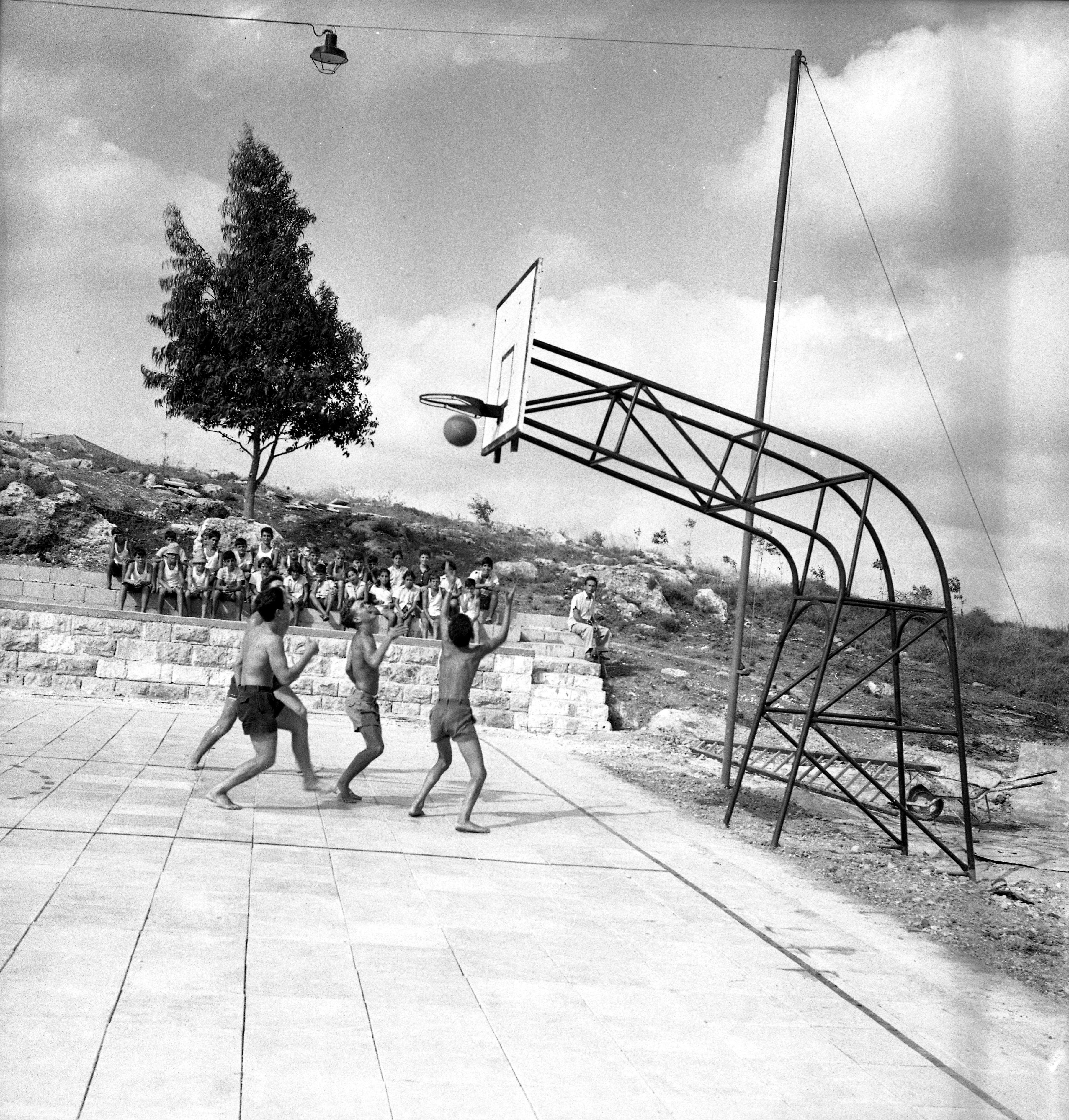39138 - פרלמוטר_541.jpg