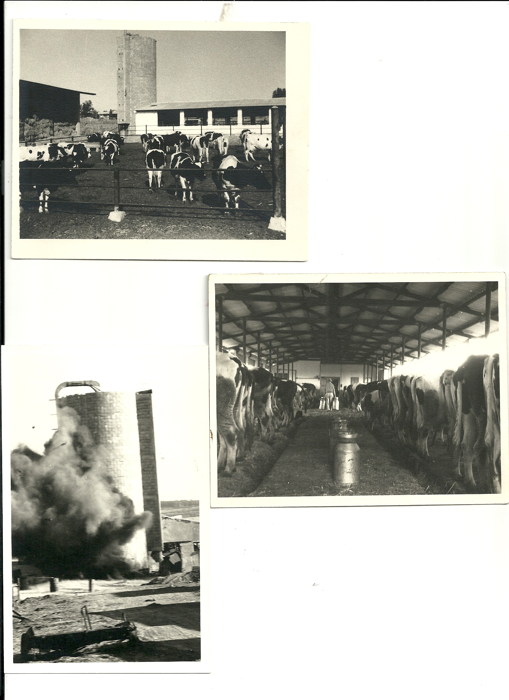 41185 - Scan_Pic0007.jpg