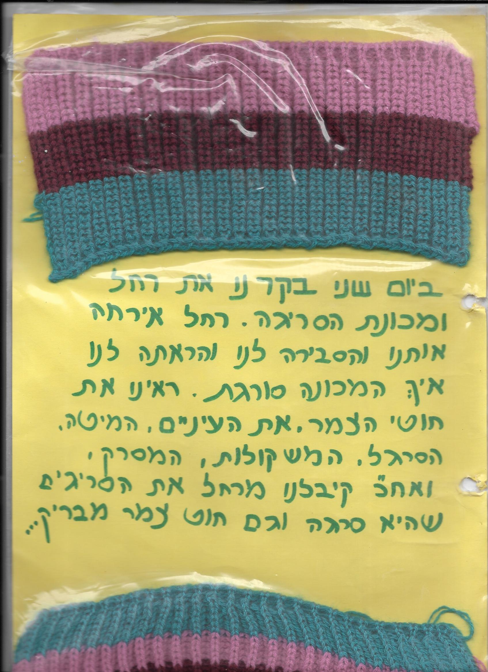 50048 - דקל 1995.jpg