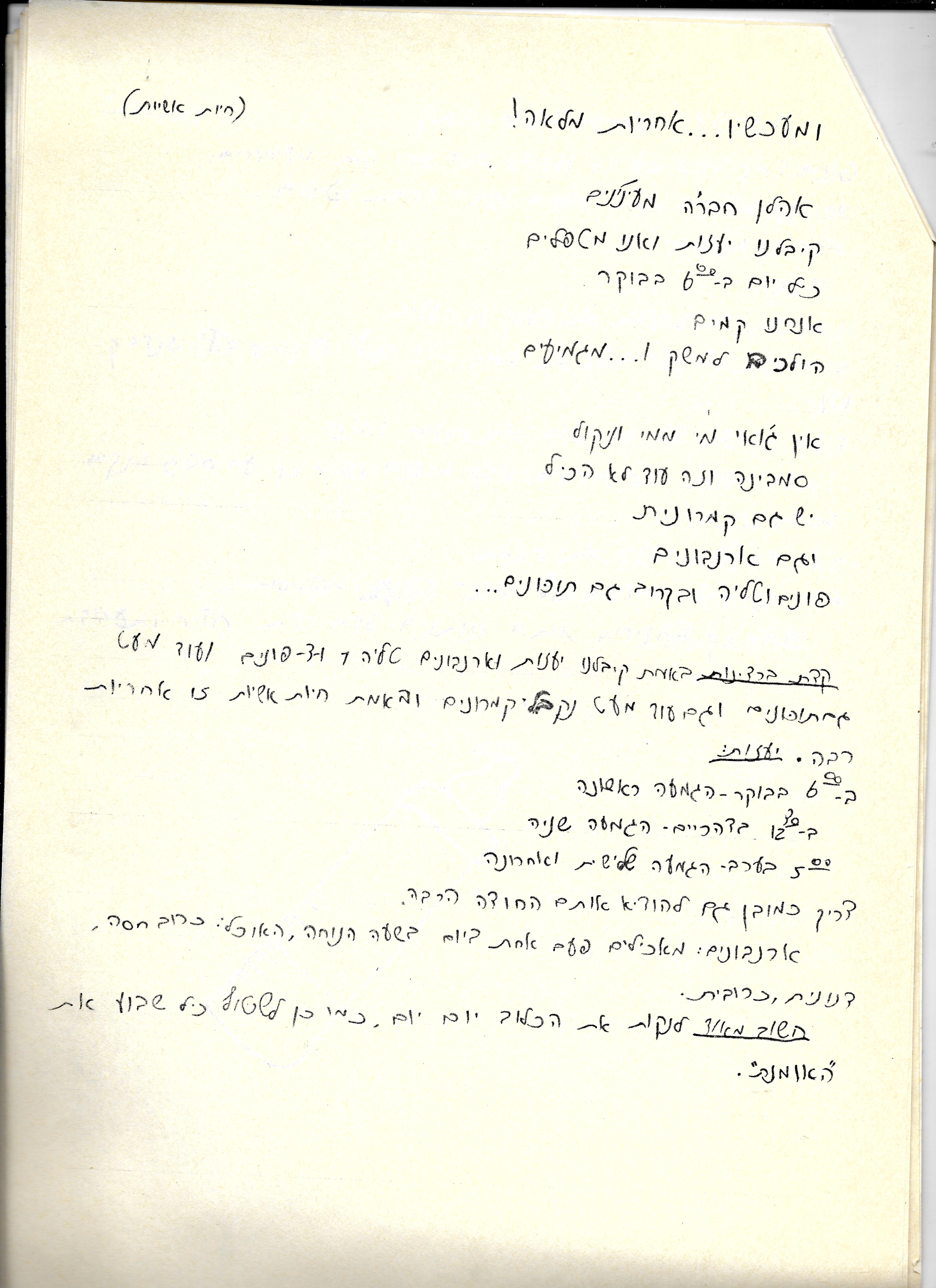 52366 - חיות אישיות.jpg