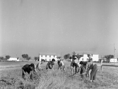  תחילת שנת הלימודים תשכ"ב; 1962