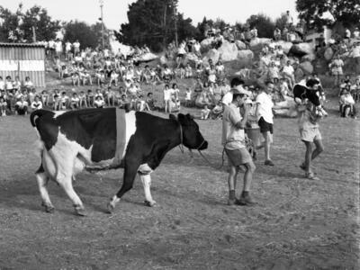  ביכורים תש"כ; 1960