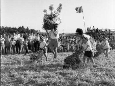  חג הביכורים; 1962