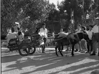  חג- הביכורים; 1965?