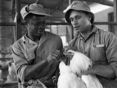  לול, יהודה (מימין) עם גוהן