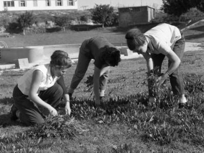  מימין מירה סידי, משמאל רחל אלעזרי עבודת נוי; 1961