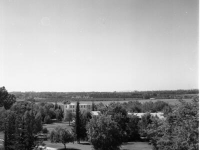  גבעת חביבה; 1968